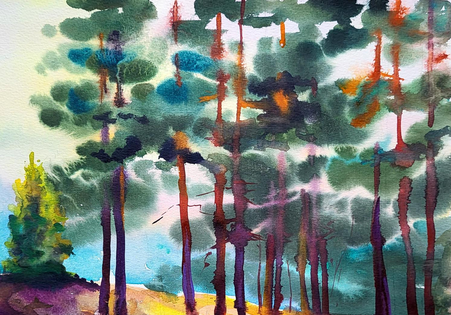 Nature Landscape