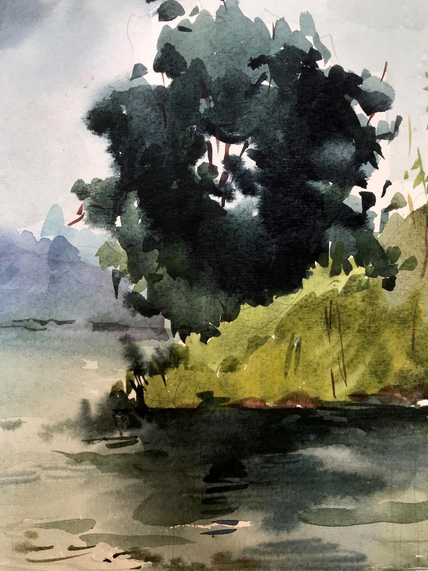 Watercolor painting On the shore in the forest Litvinov Oleg Arkad'yevich