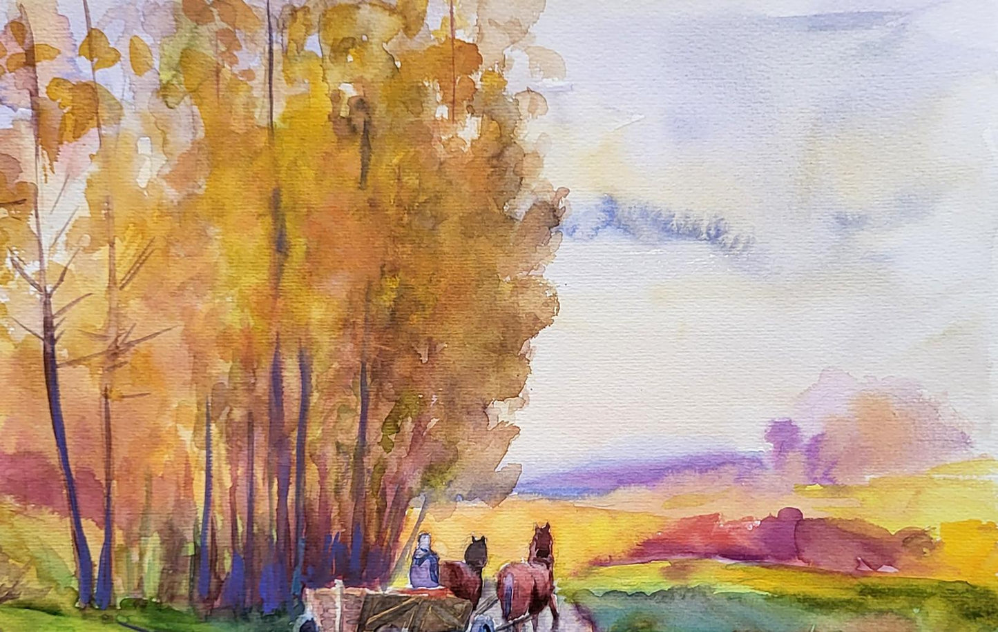 Nature Landscape