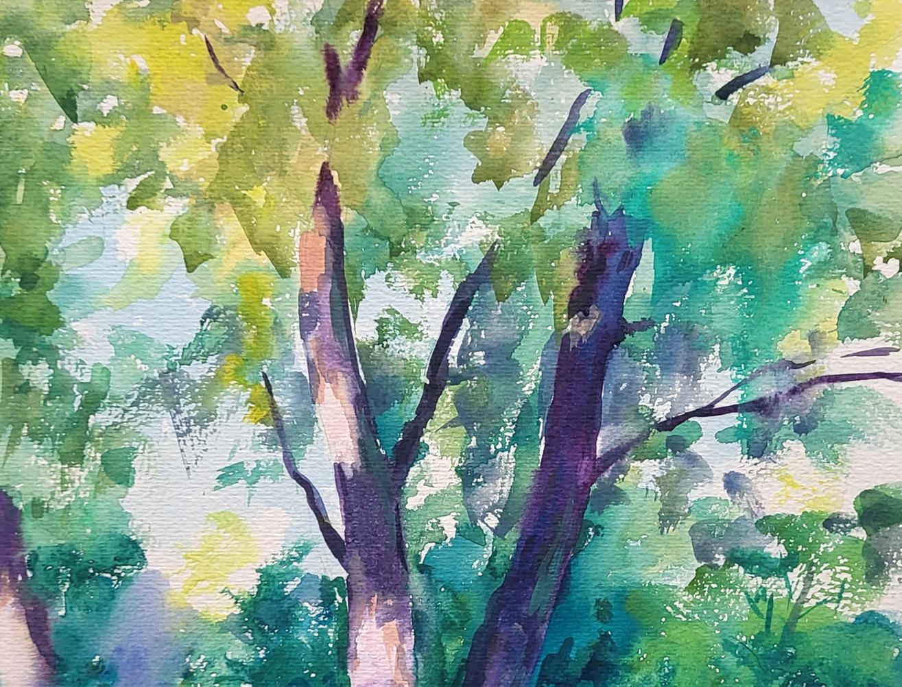 Nature Landscape