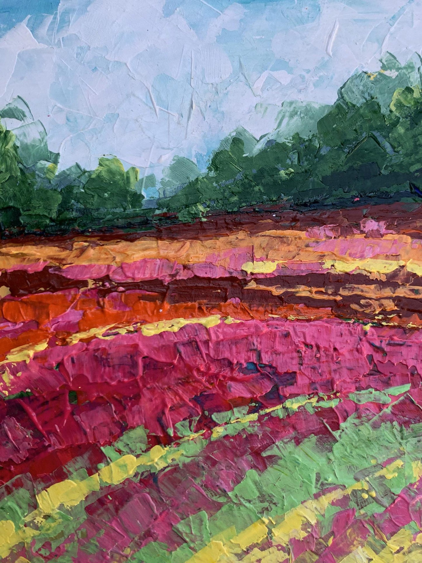 Oil painting Colorful field V. Zadorozhnya