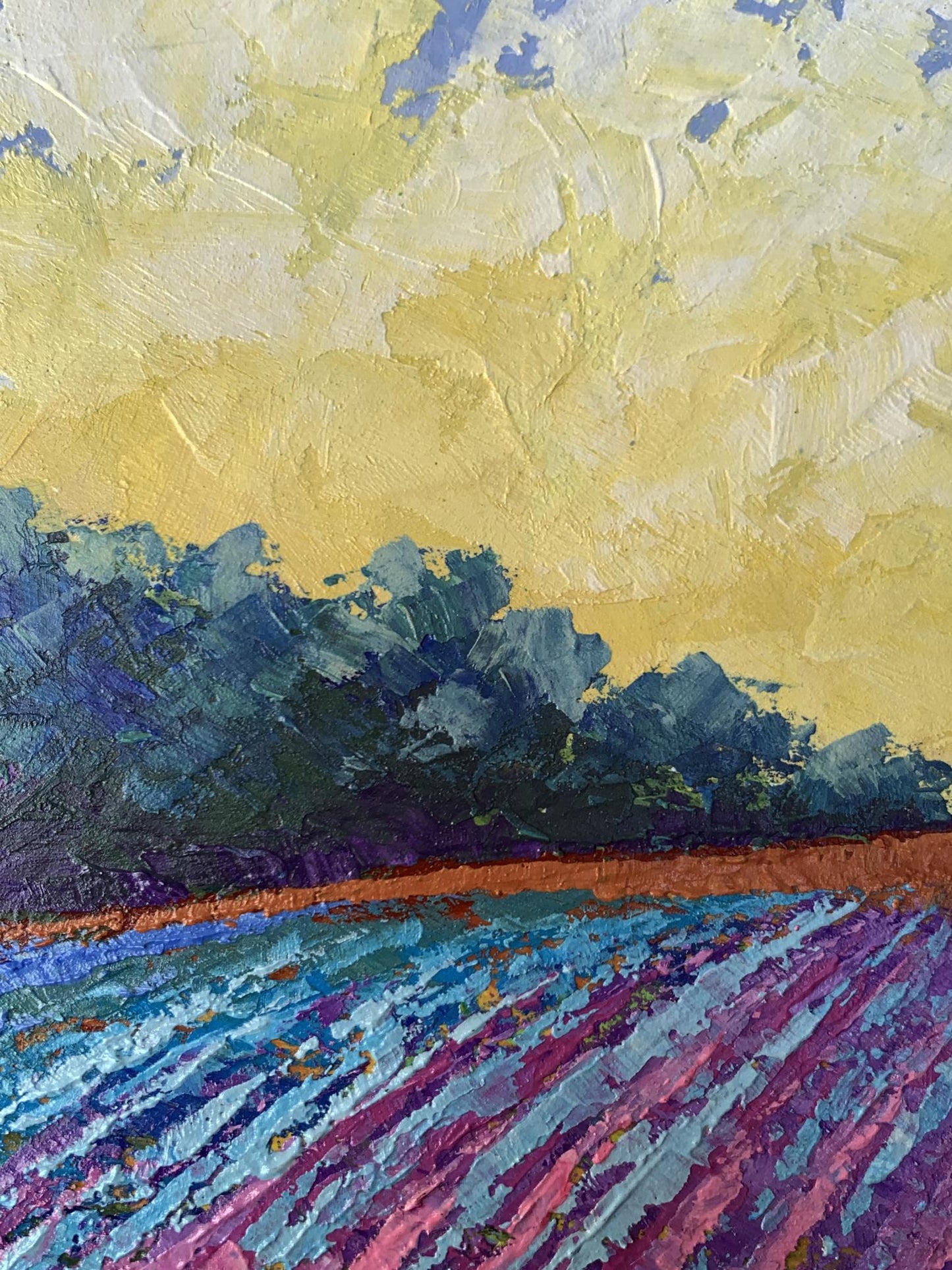 Oil painting Warm days in the fields V. Zadorozhnya