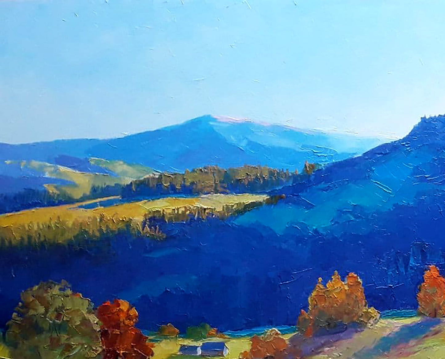 Oil painting Sunny meadows Serdyuk Boris Petrovich