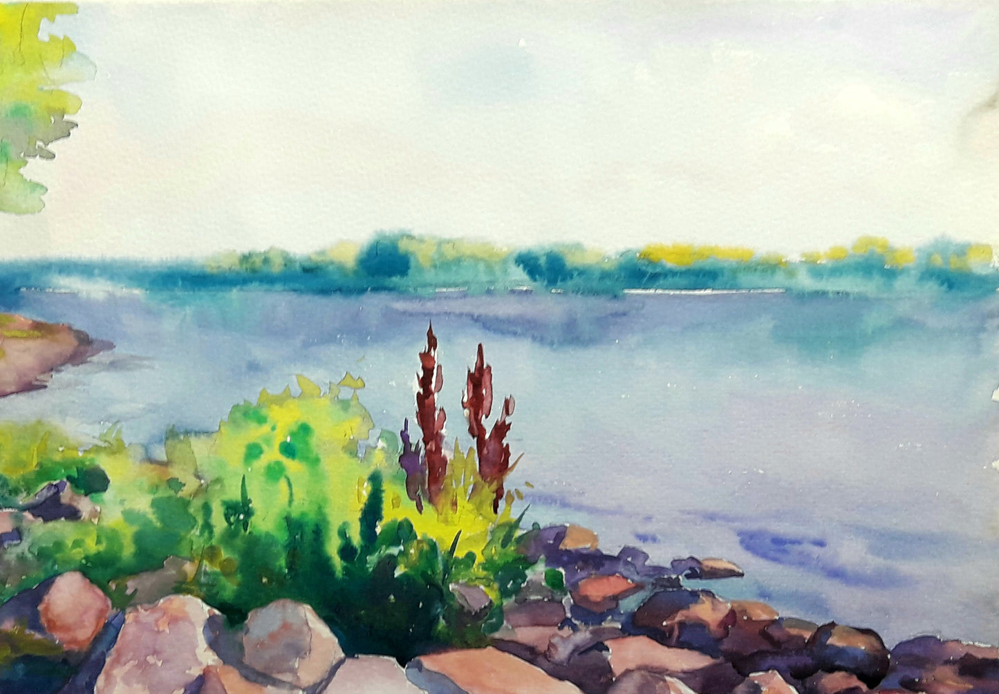 Nature Landscape