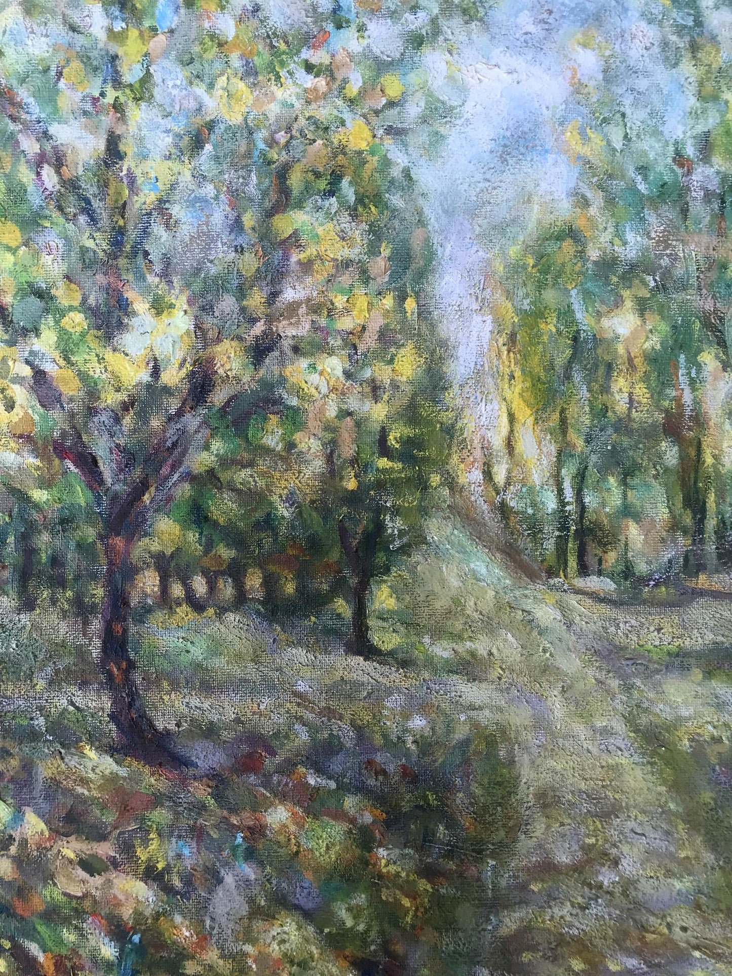 Summer Landscape