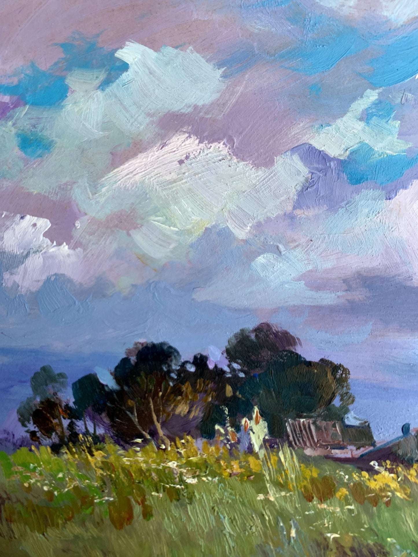 OIl painting In the village field Yuriy Suprunchuk