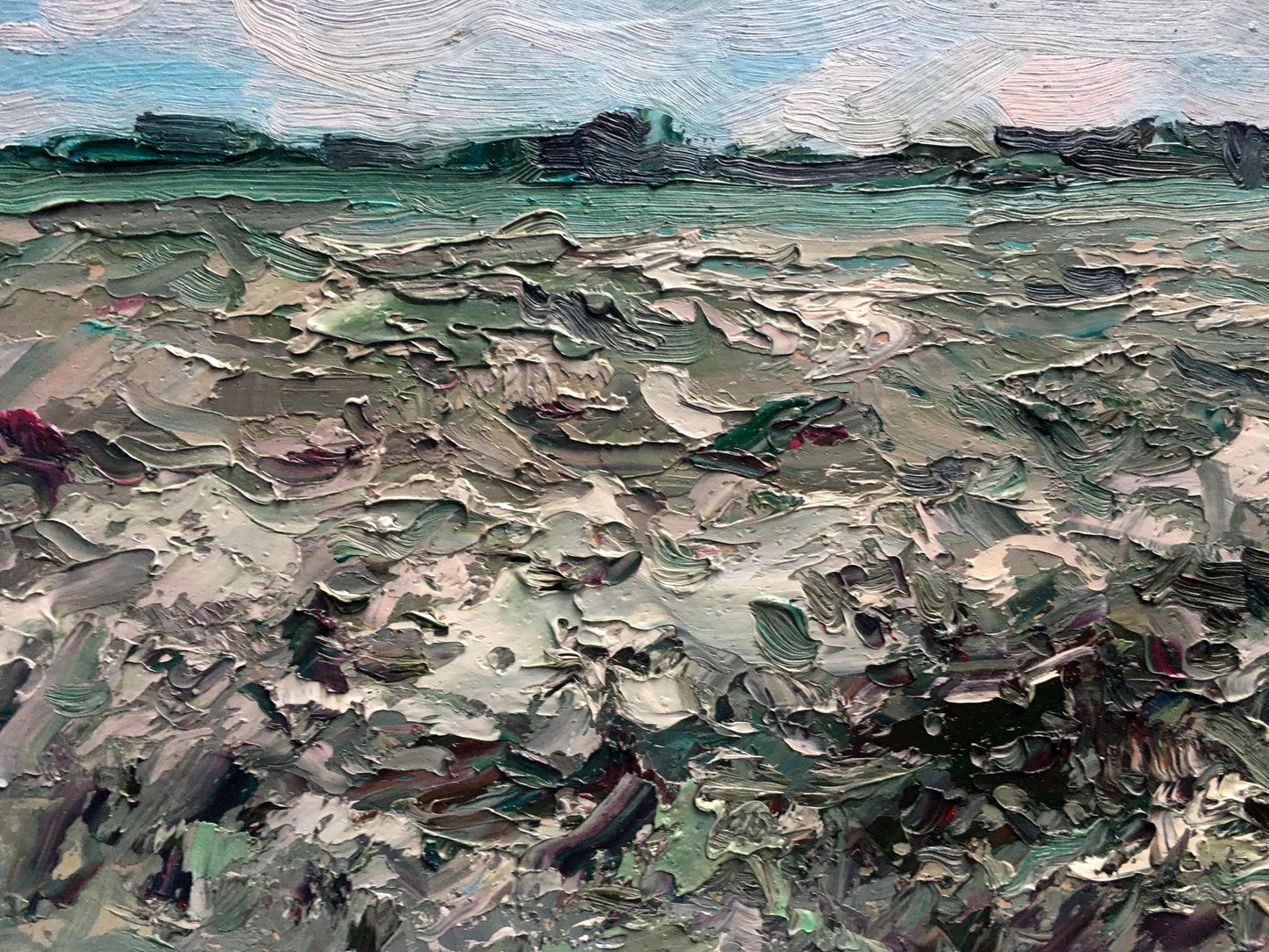 Field Nature