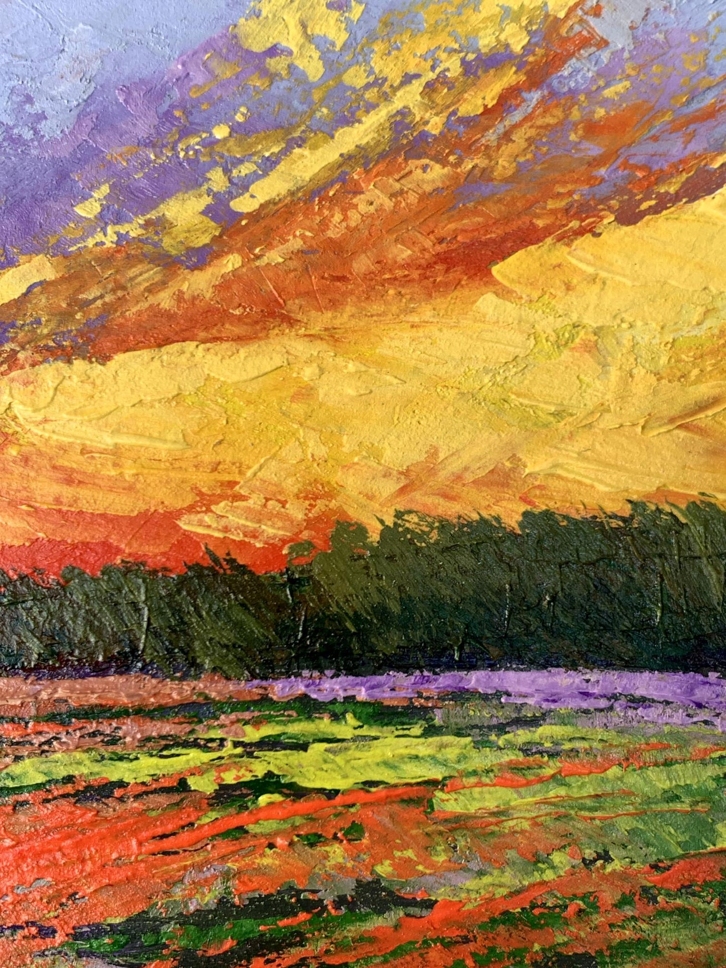Oil painting Watching the sunset in the field V. Zadorozhnya