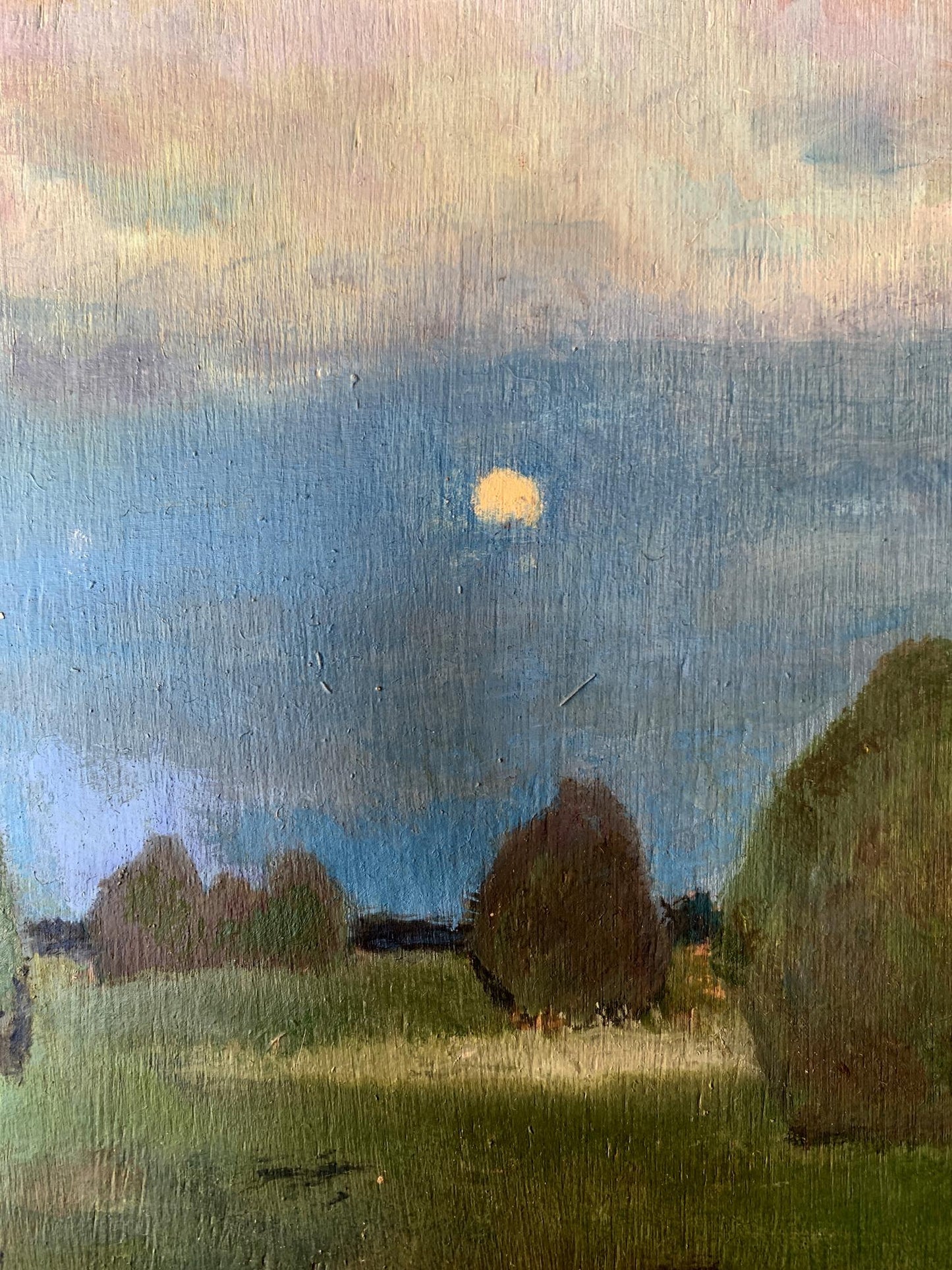 Oil painting In the night field Leonid Maistrenko