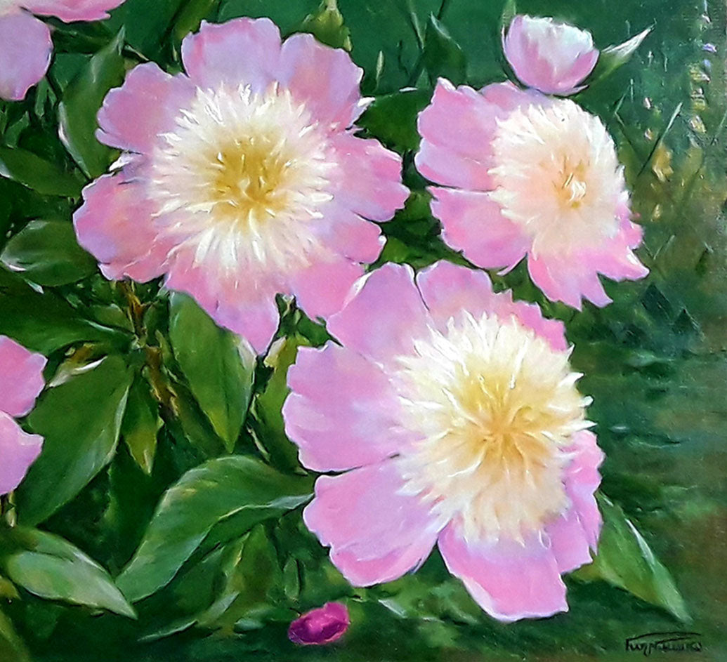Oil painting peoniesKorkishko Vasily