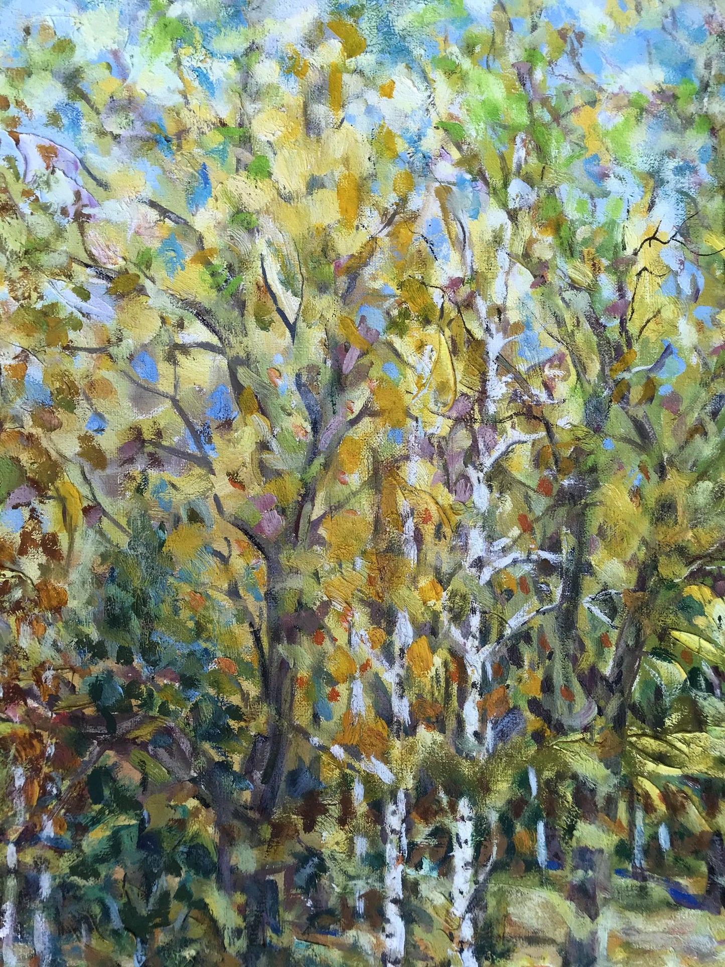 Autumn Forest