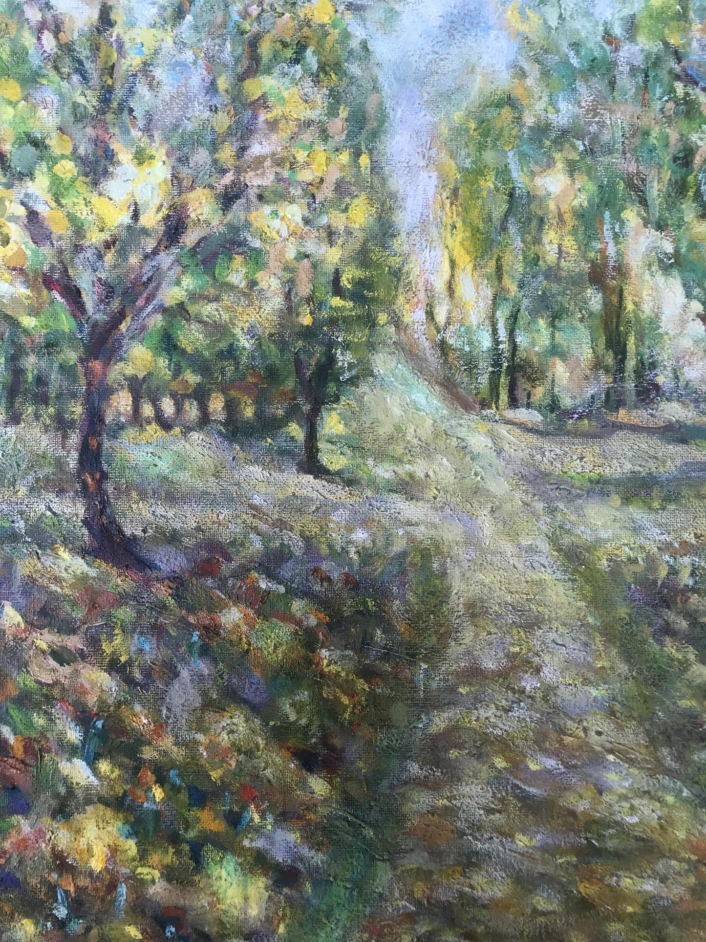 Summer Forest