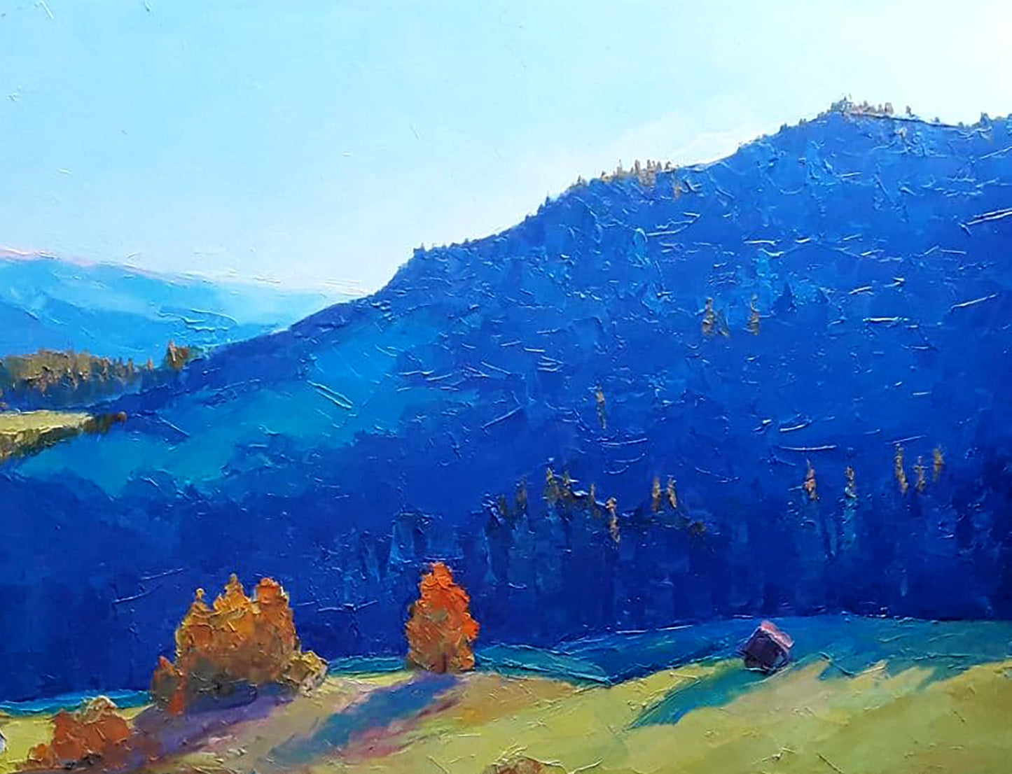 Oil painting Sunny meadows Serdyuk Boris Petrovich