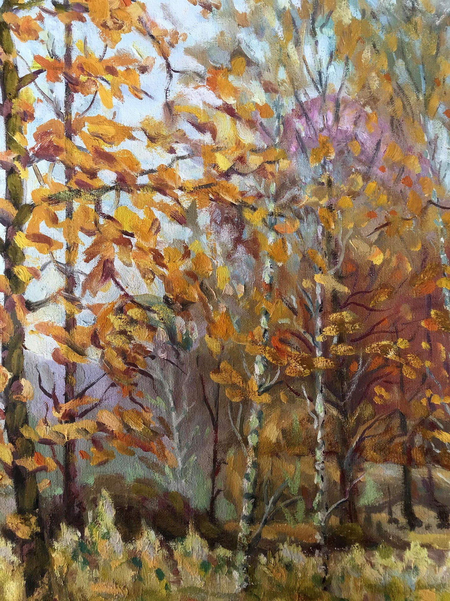forest landscape art