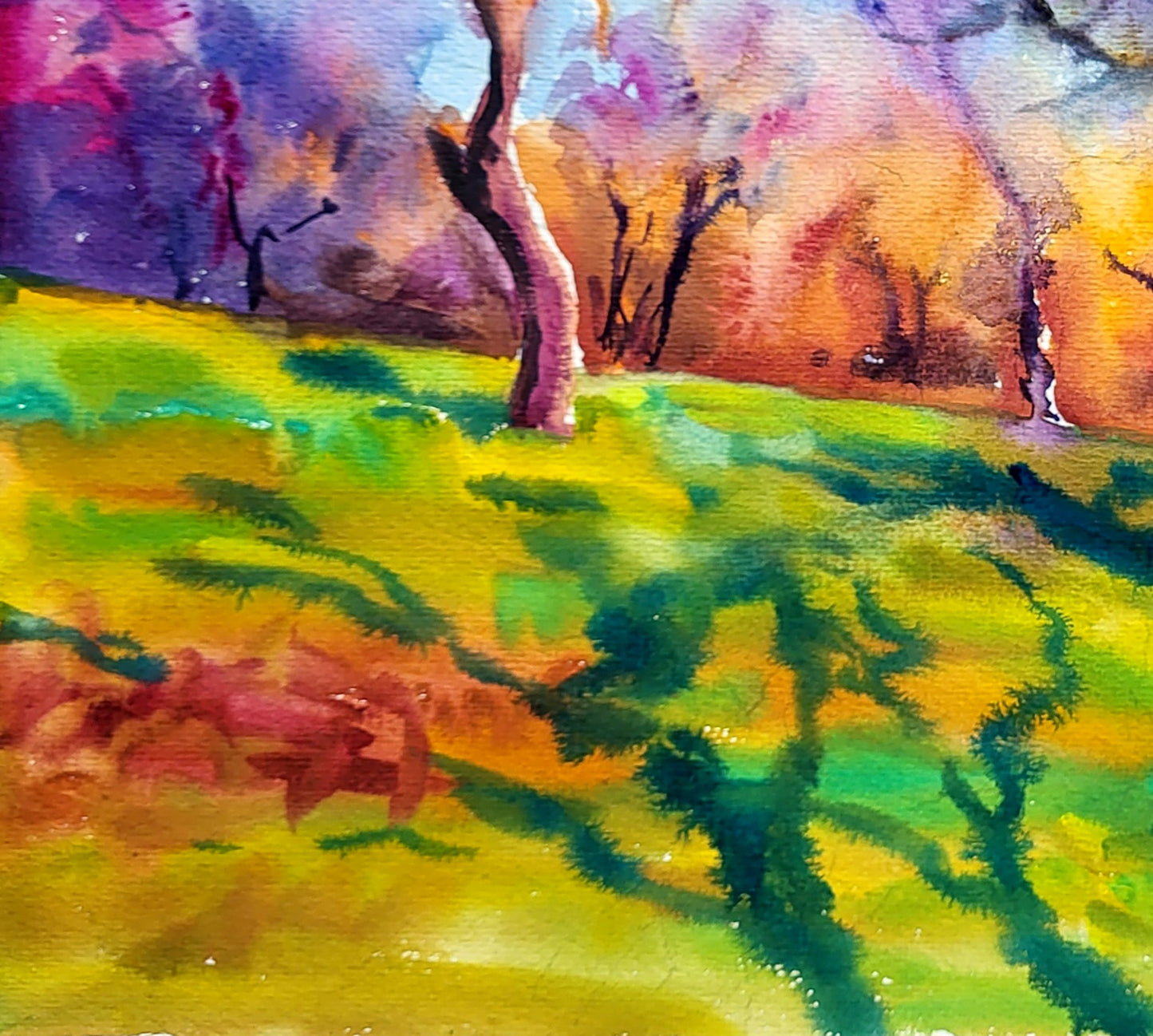 Rural landscape