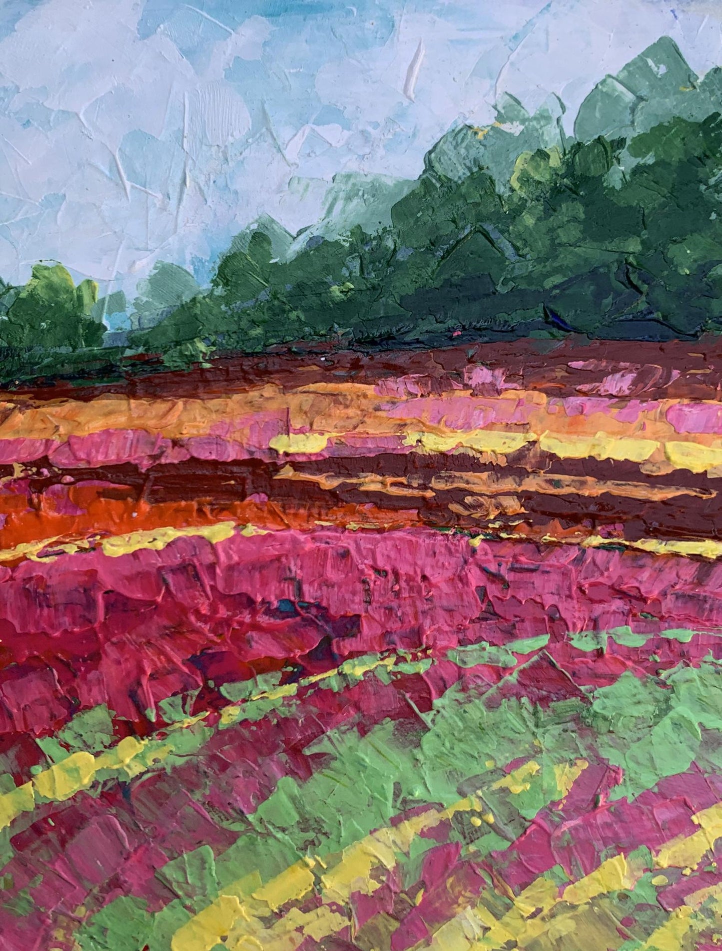 Oil painting Colorful field V. Zadorozhnya