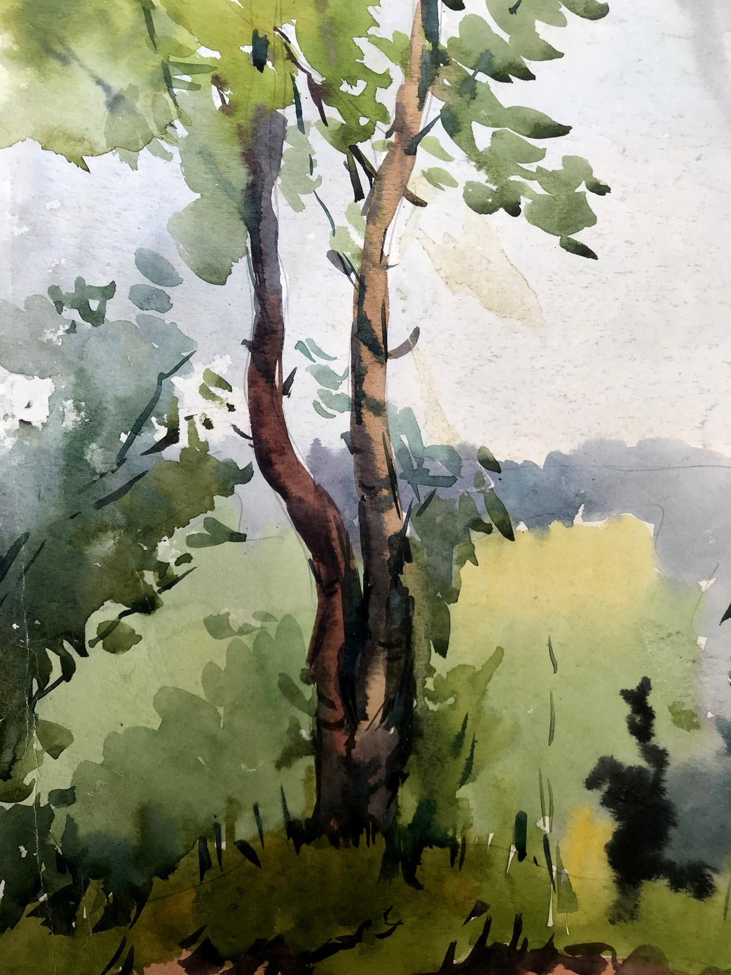 Watercolor painting Path to the forest Litvinov Oleg Arkad'yevich
