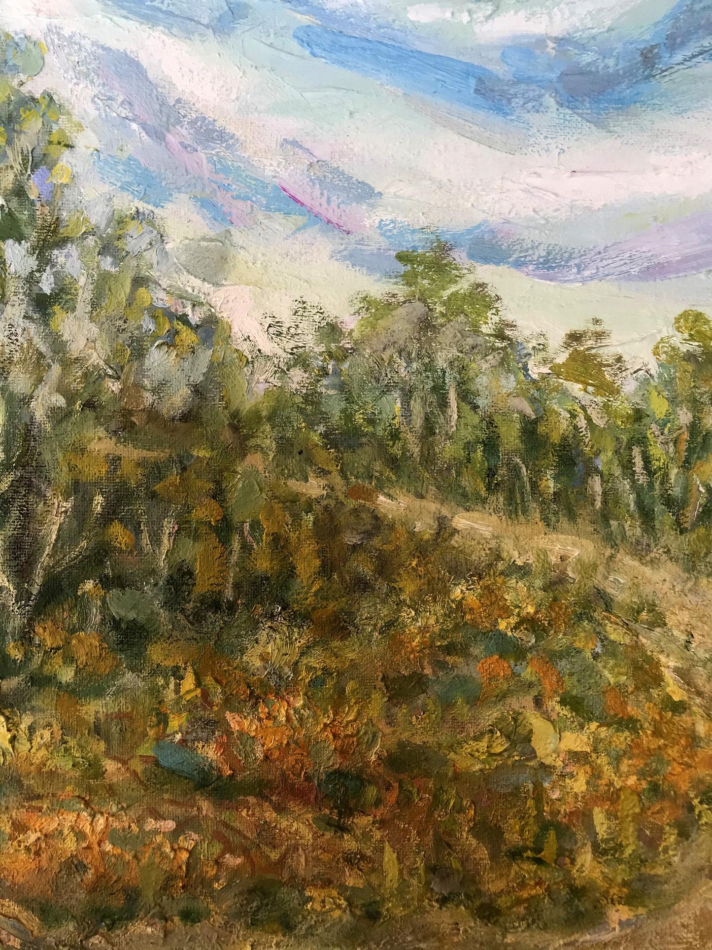 Village landscape