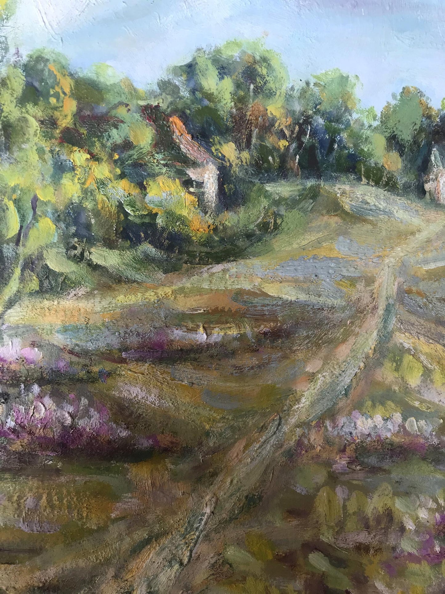 Rural landscape