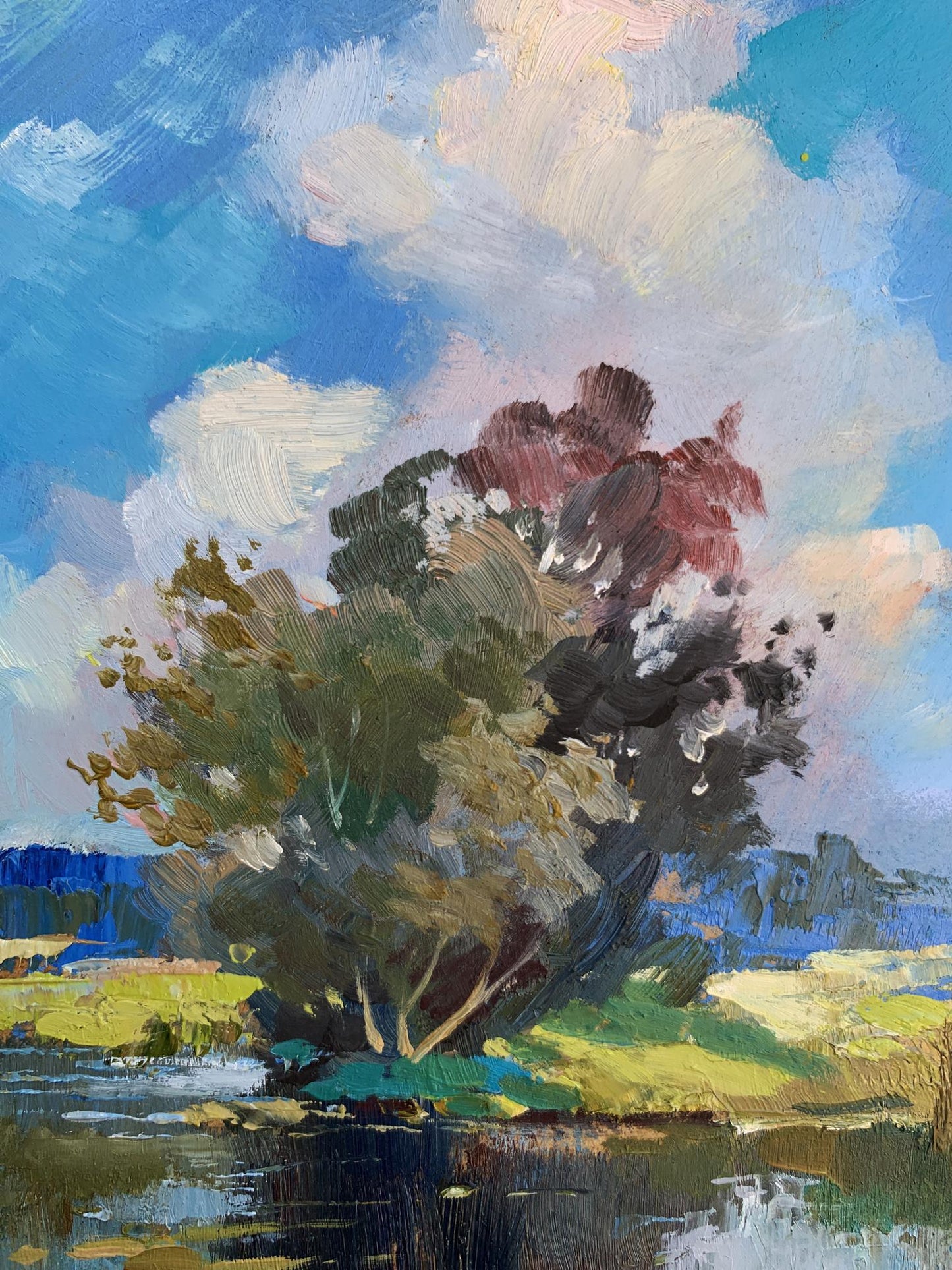 OIl painting Memory of a place in nature Yuriy Suprunchuk