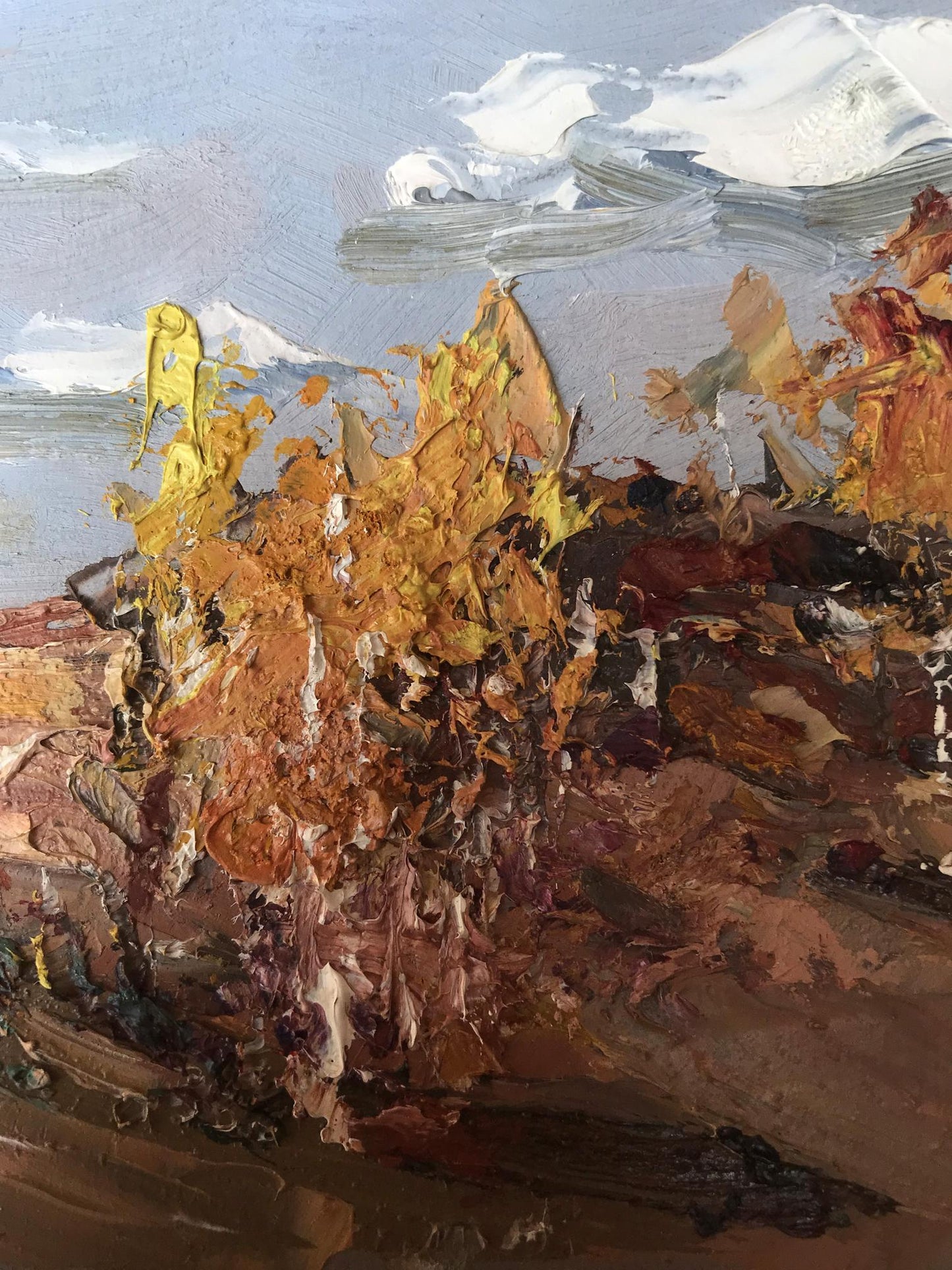 Forest Landscape