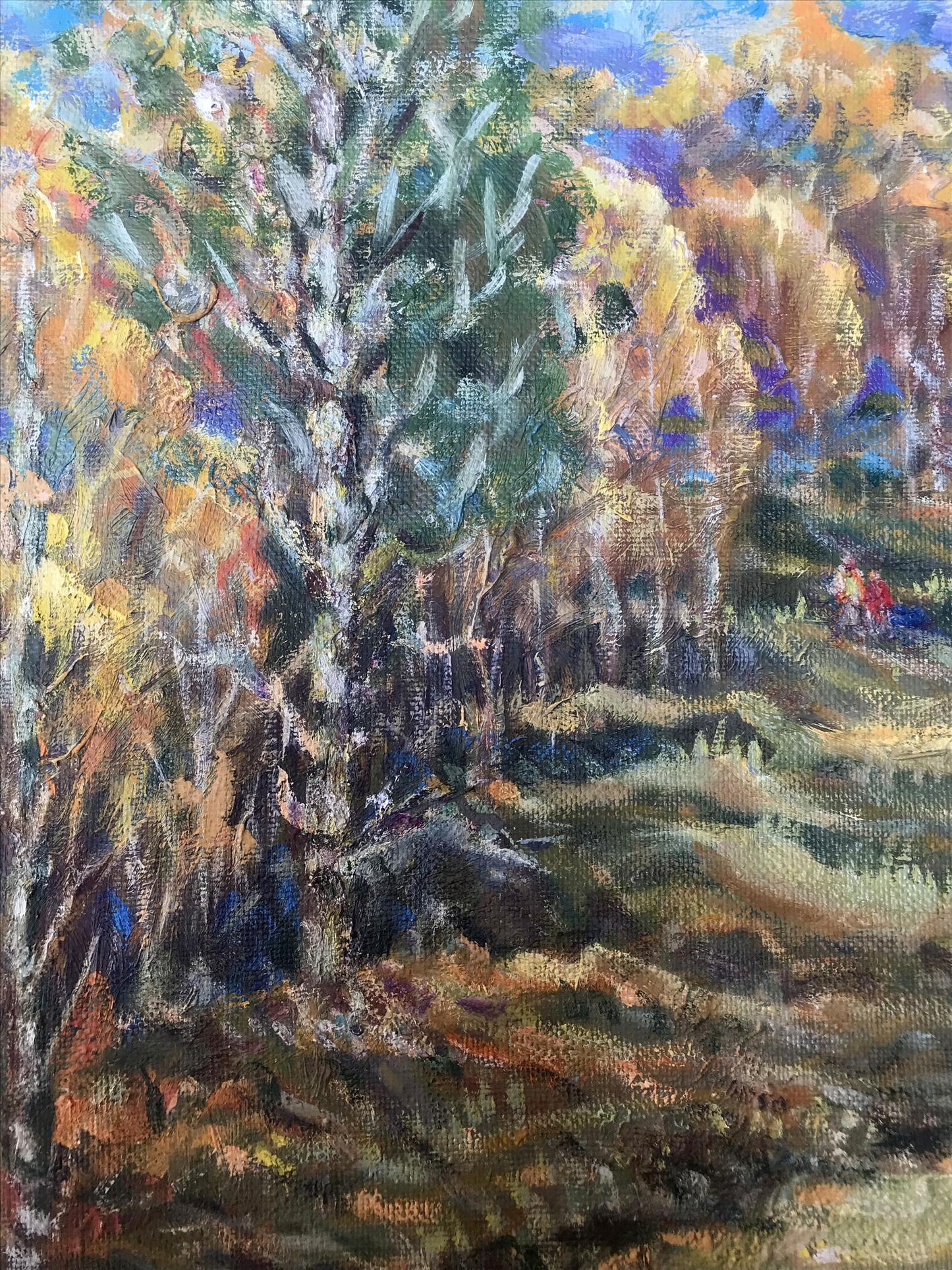 Forest landscape