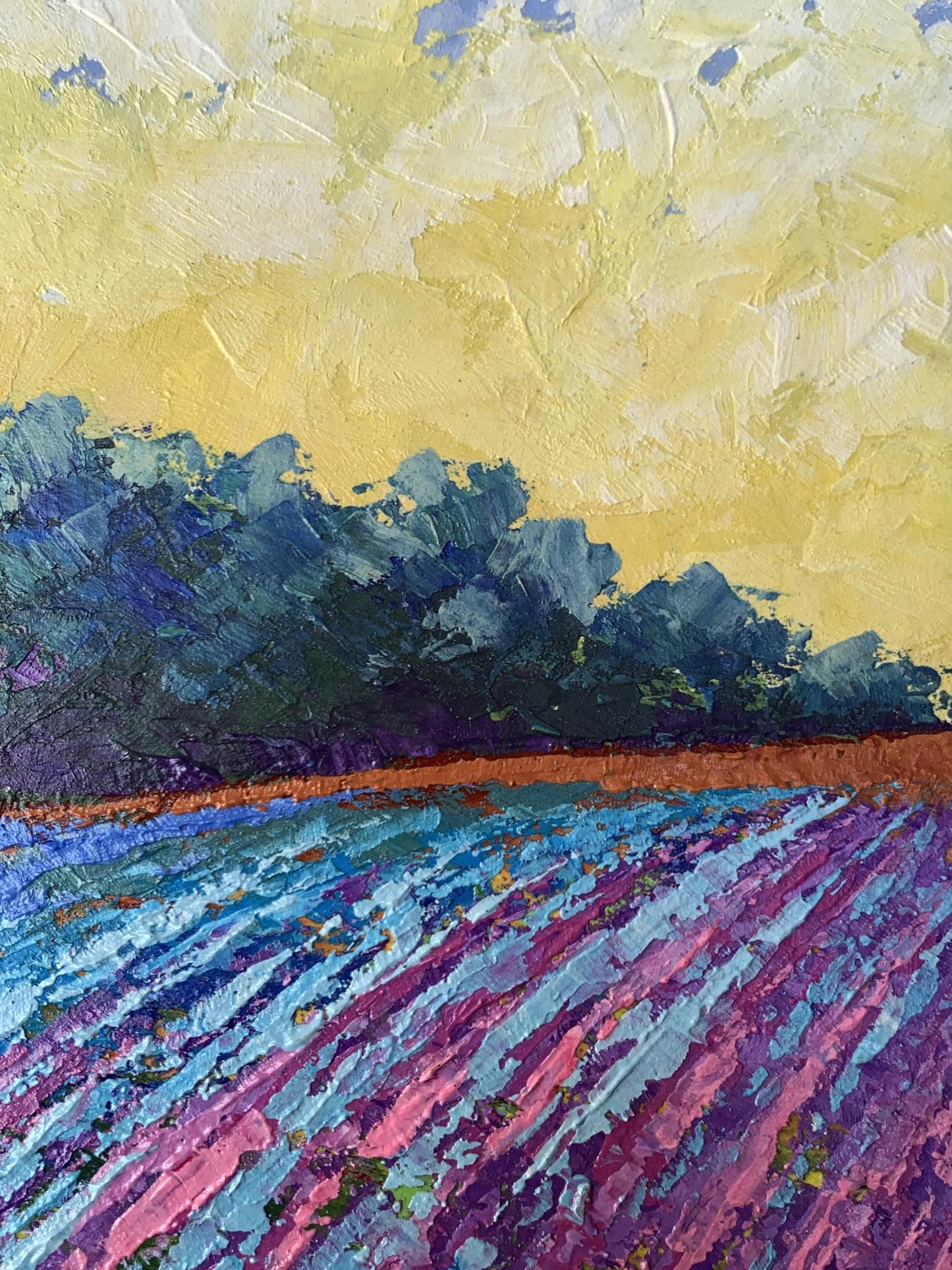Oil painting Warm days in the fields V. Zadorozhnya