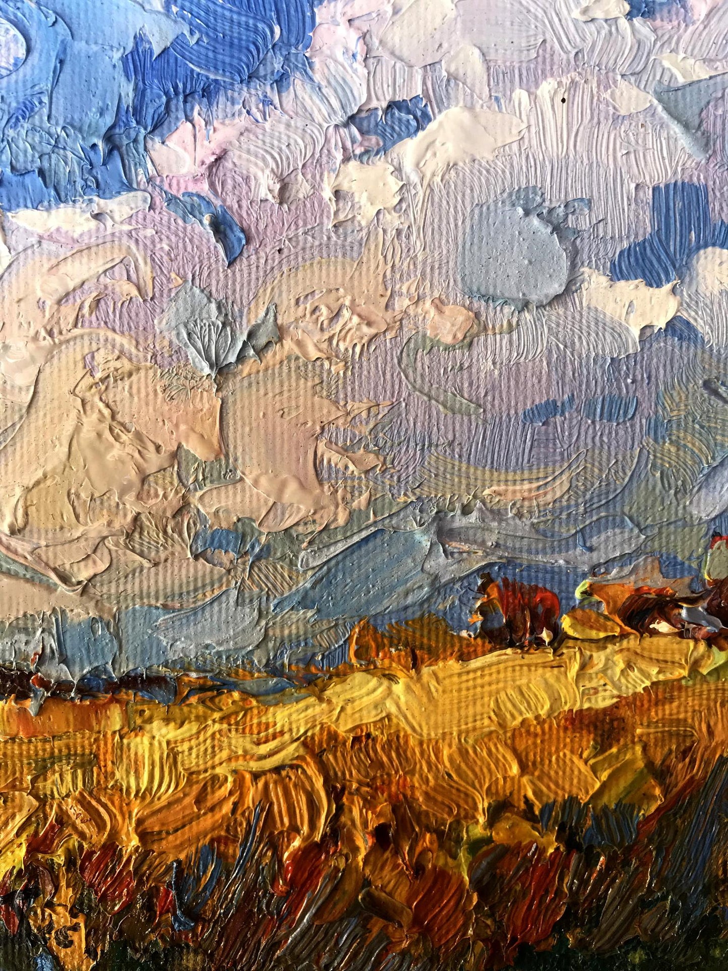 Rural landscape