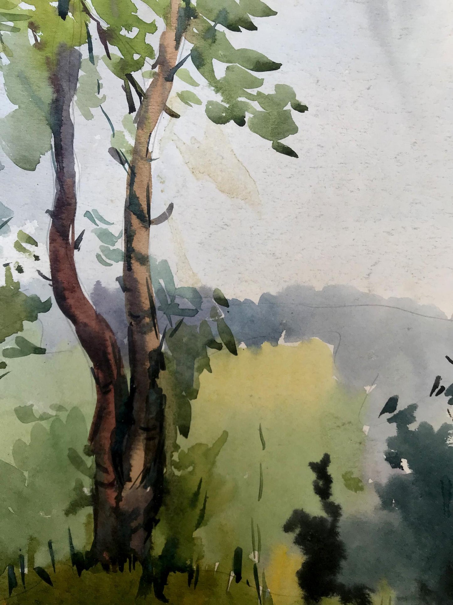 Watercolor painting Path to the forest Litvinov Oleg Arkad'yevich