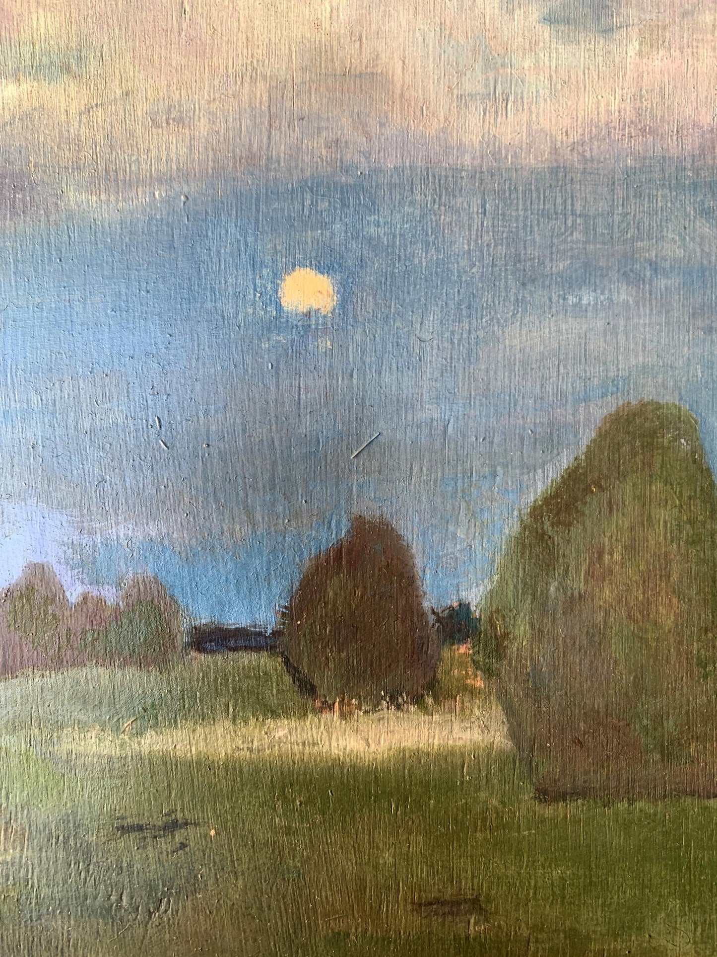 Oil painting In the night field Leonid Maistrenko