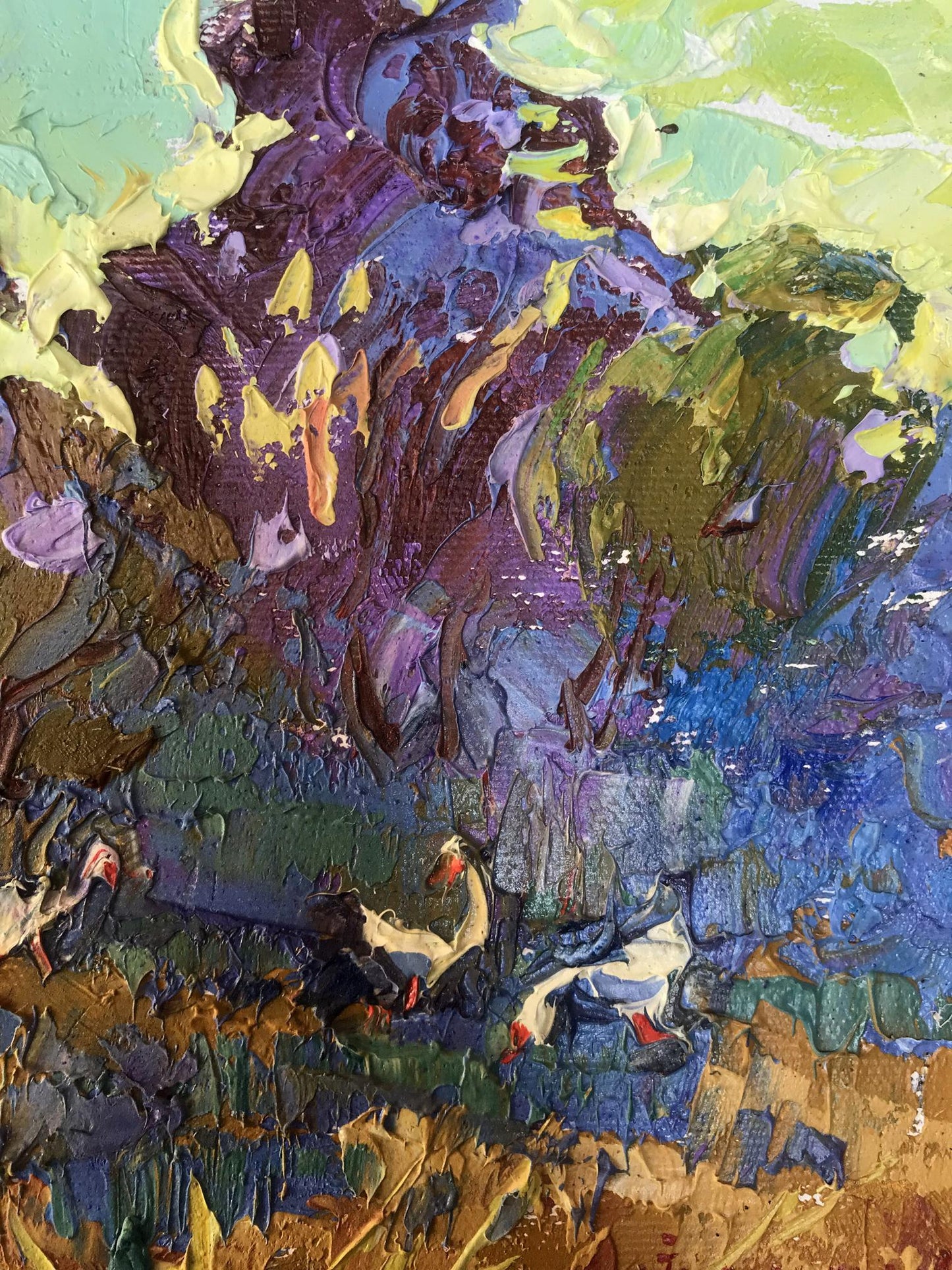 Rural landscape