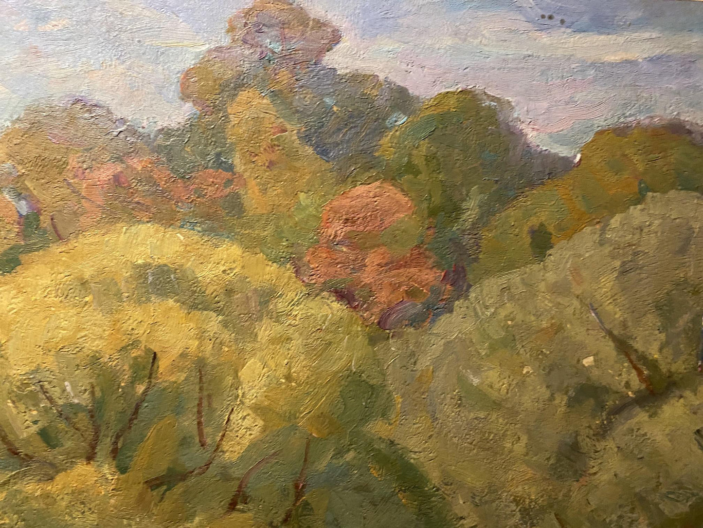Oil painting Walk near the river Nikolai Bortnikov