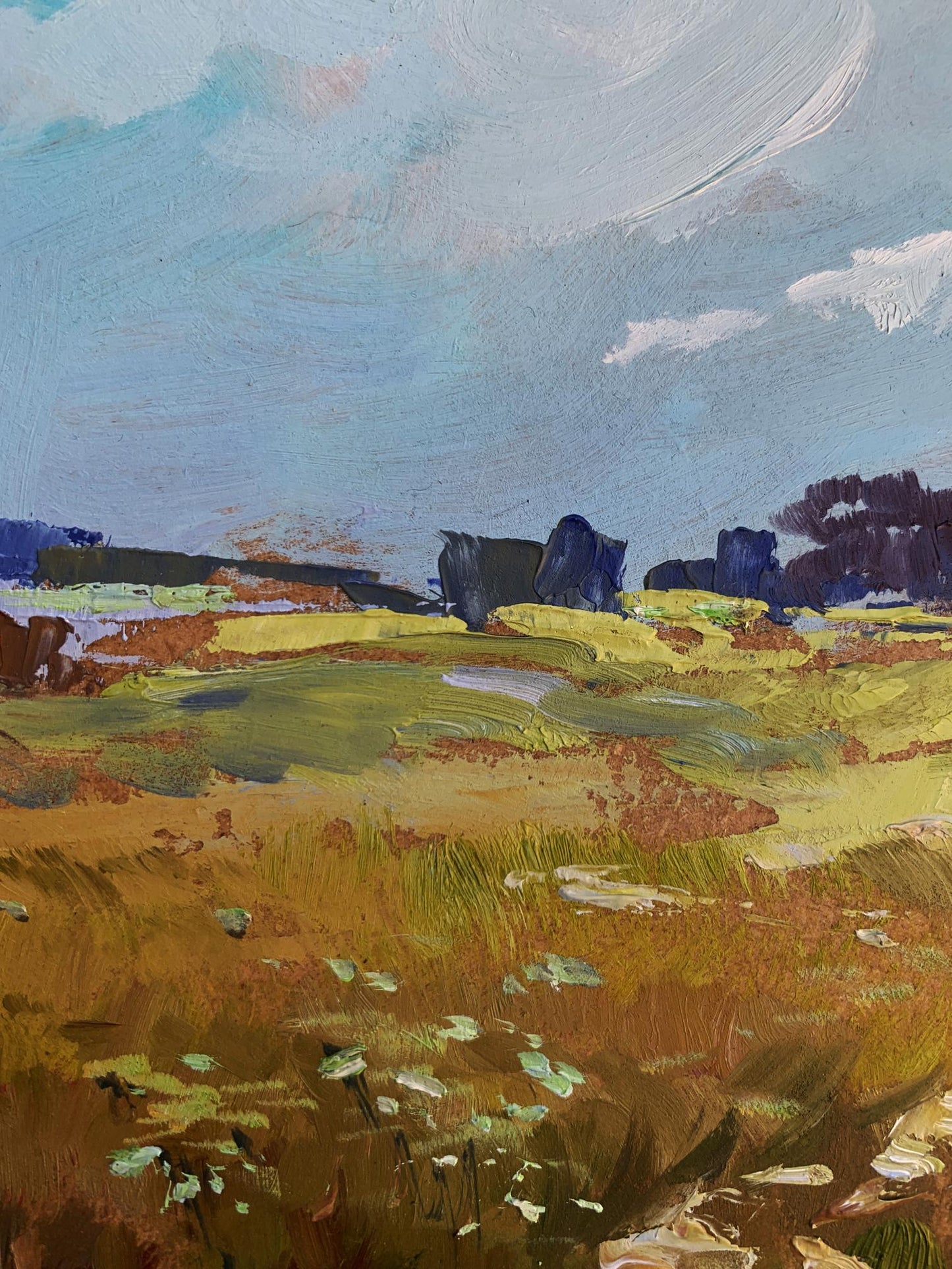 OIl painting Summer yellow field Yuriy Suprunchuk