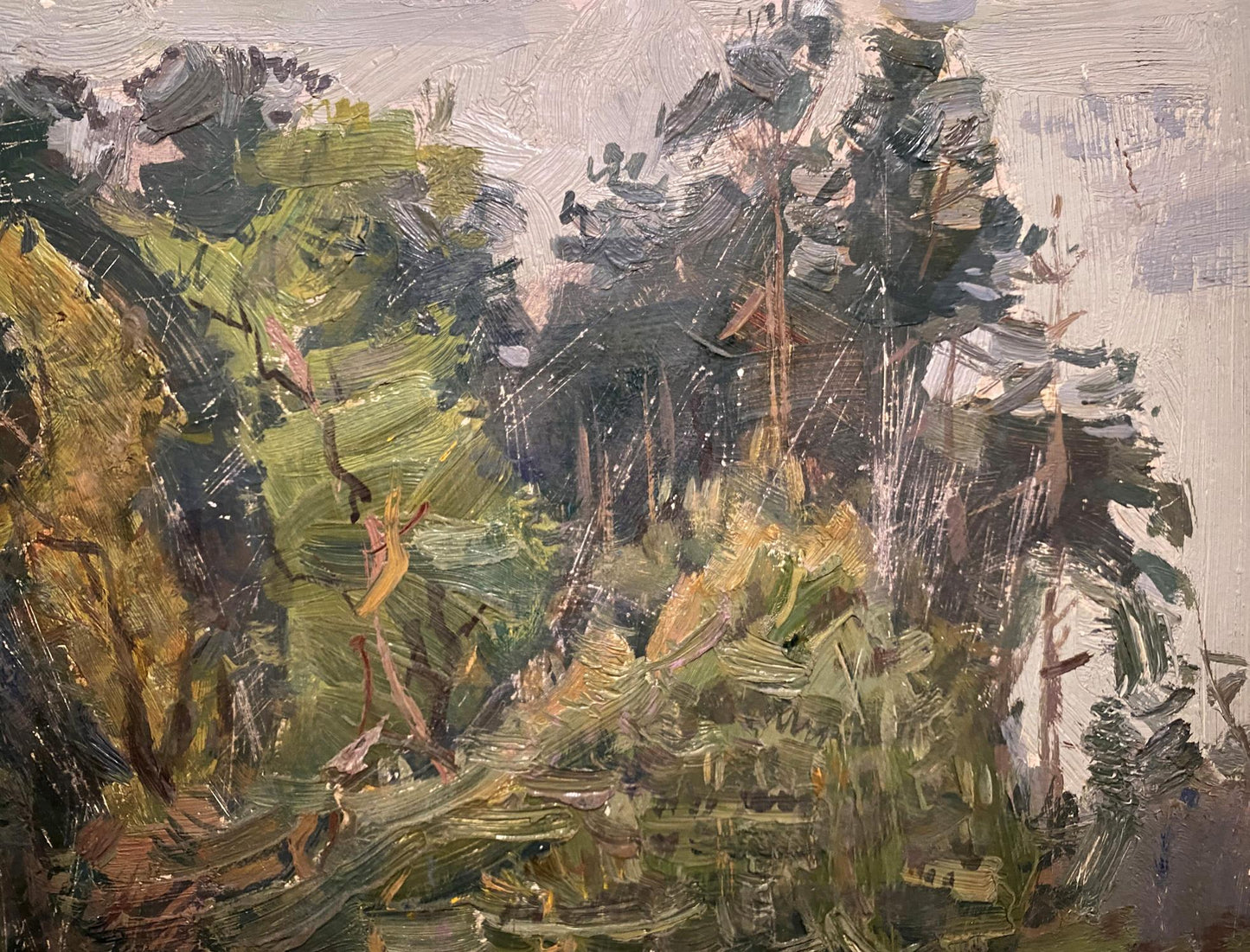 Oil painting White horse Serhii Hryhoriev