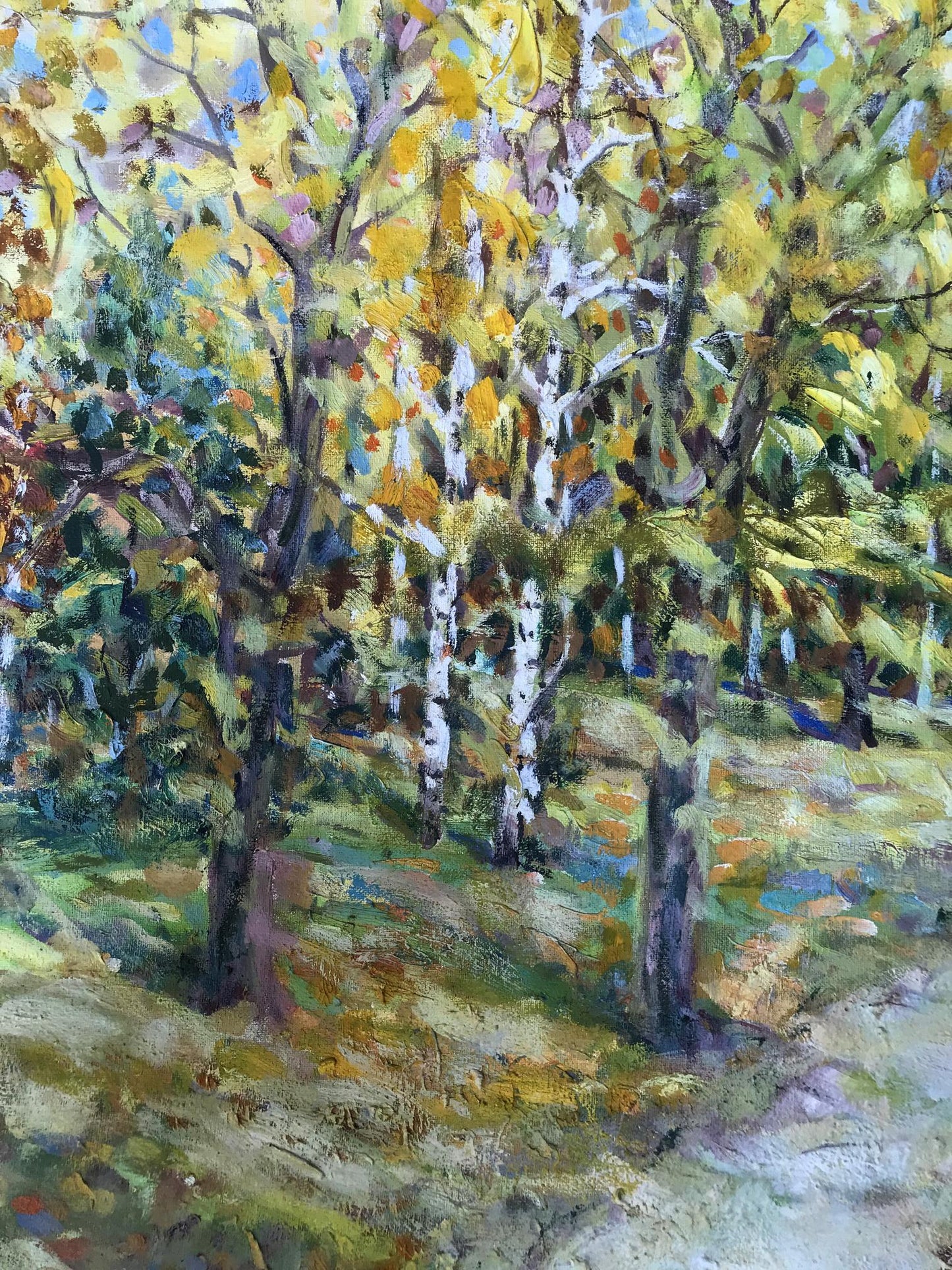 Forest landscape