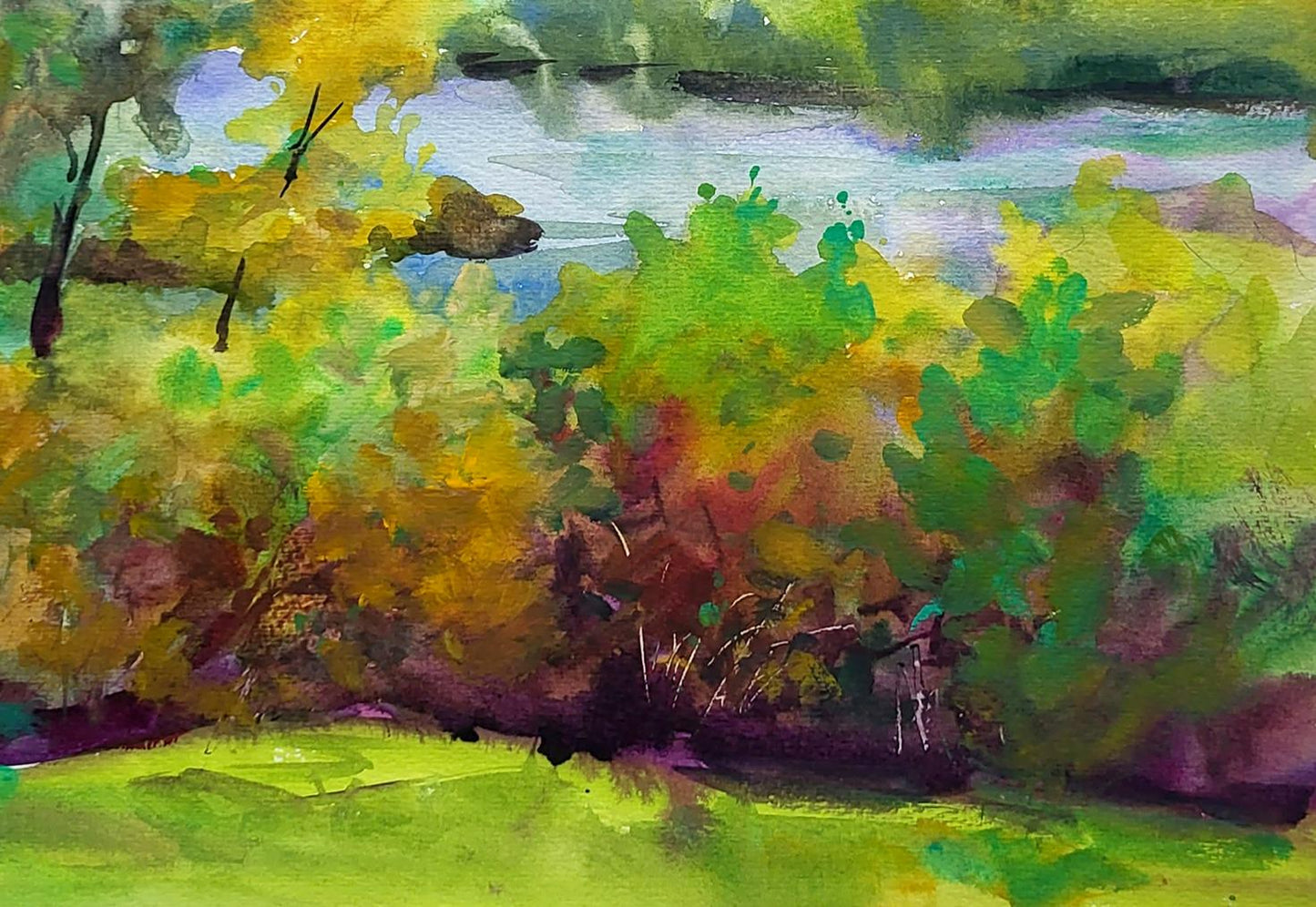 Forest Landscape