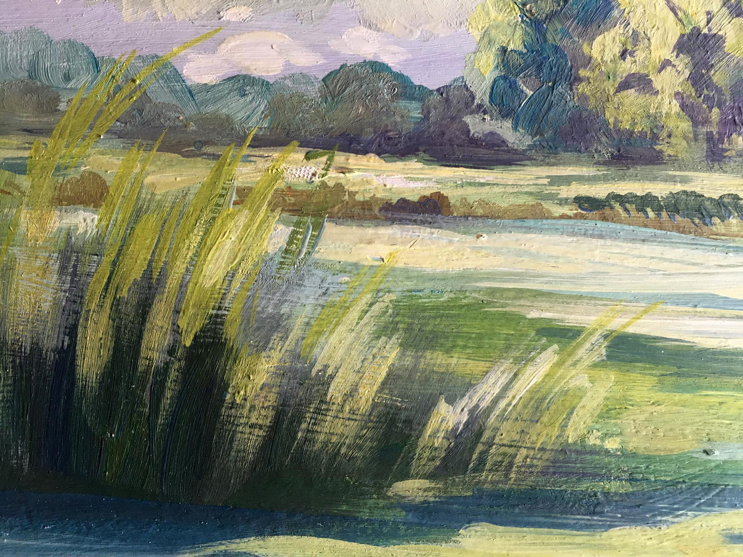 Oil painting Rest by the river Svetlana Gramm