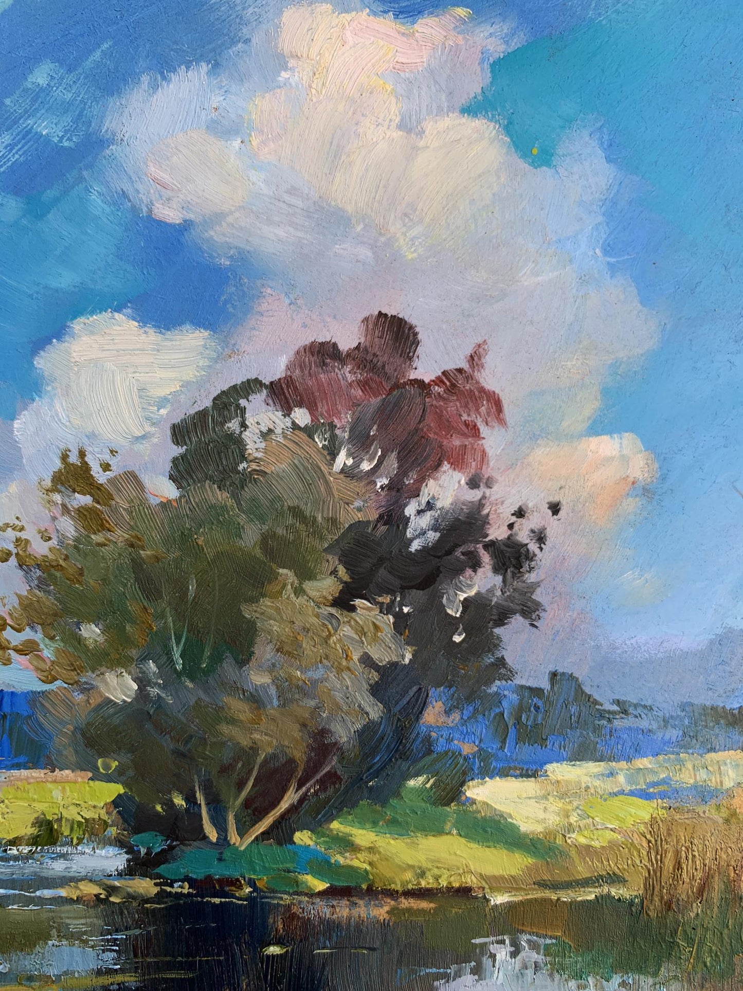 OIl painting Memory of a place in nature Yuriy Suprunchuk