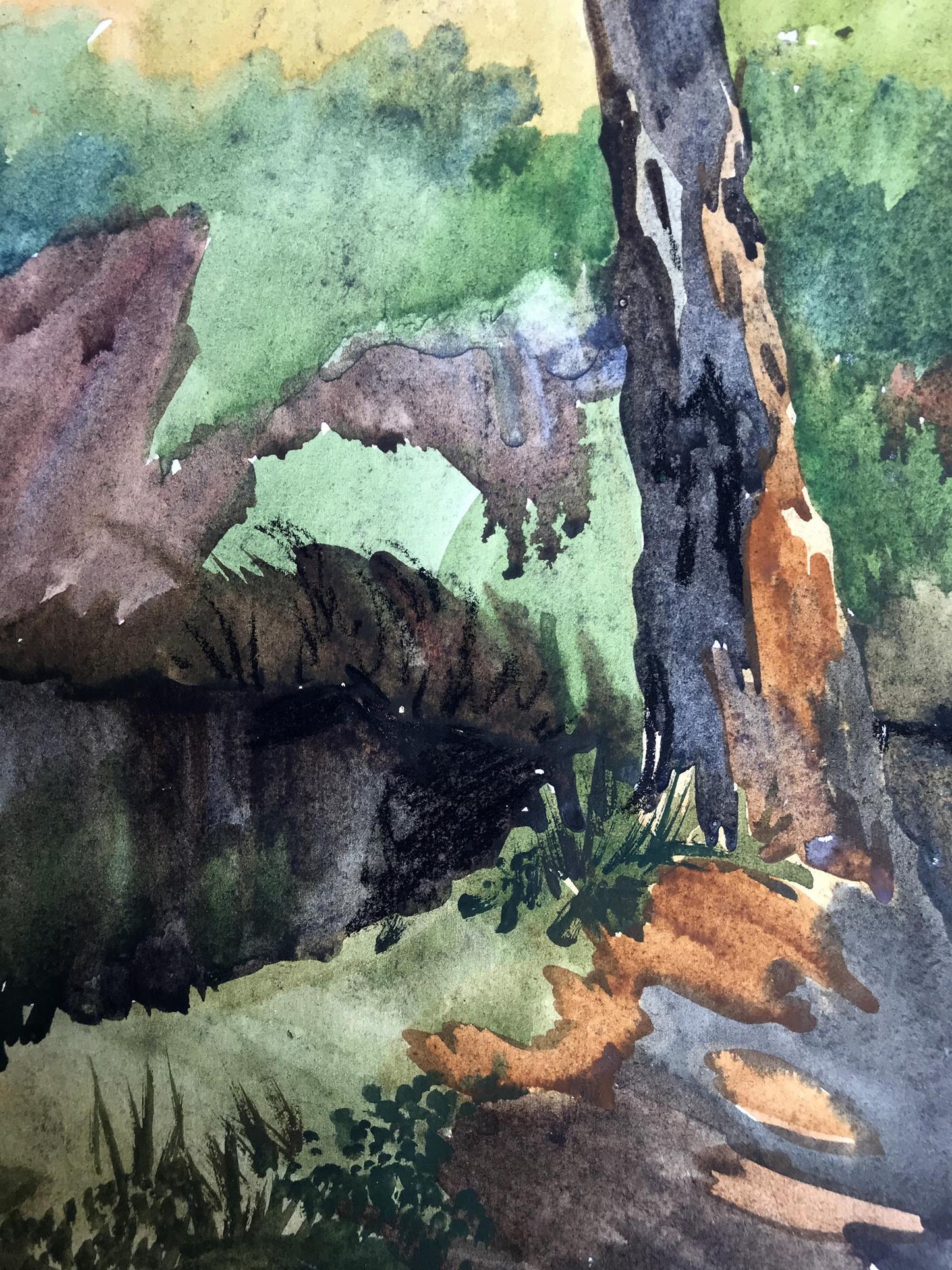 Watercolor painting Rest in the woods Unknown artist