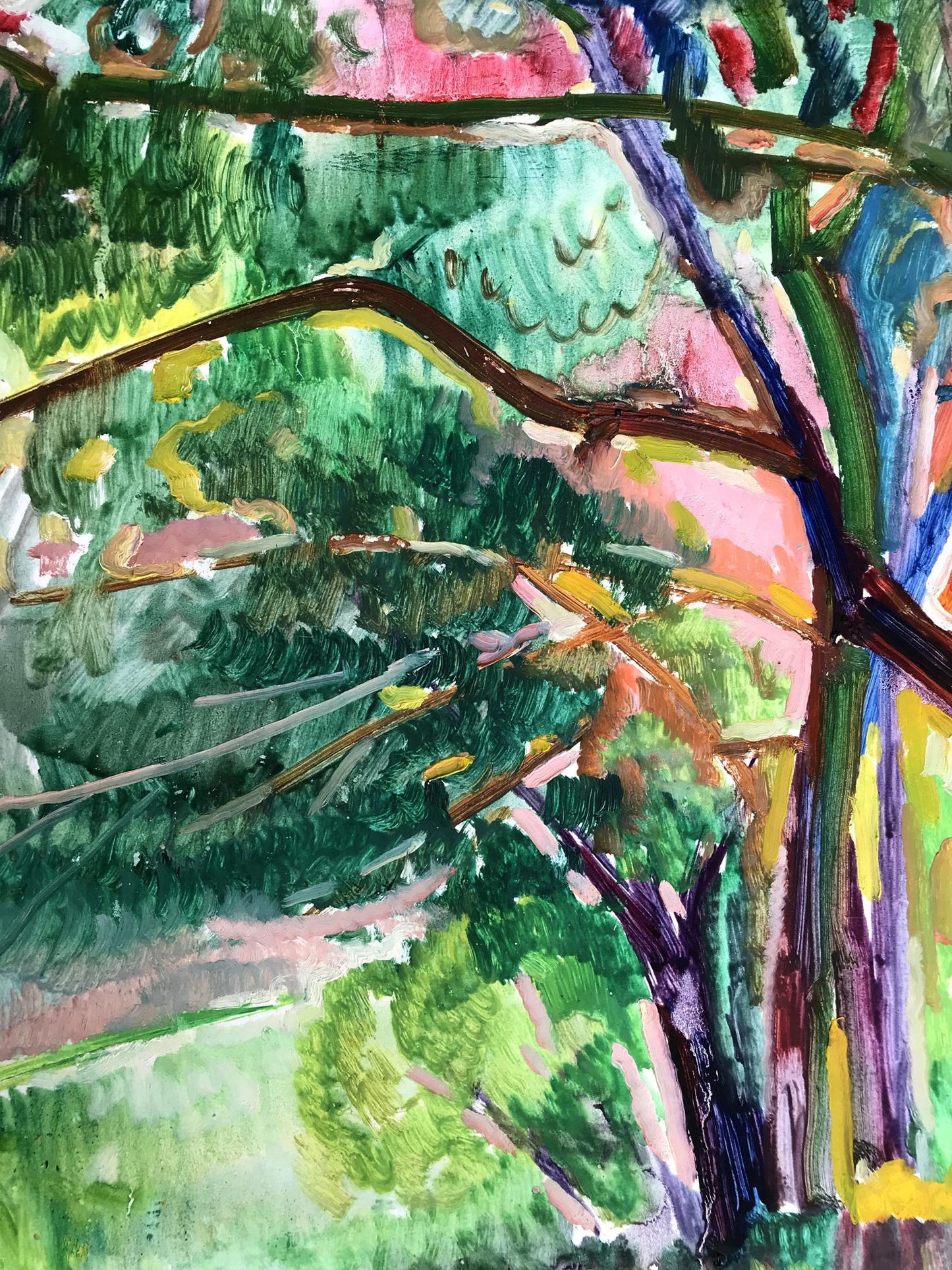 Summer Forest landscape