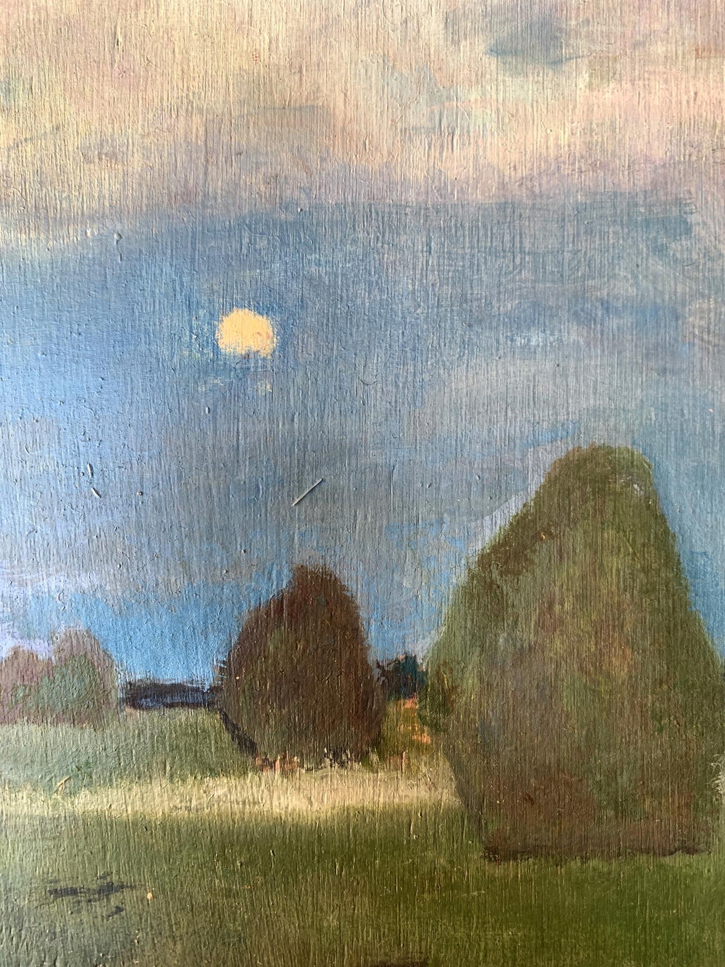 Oil painting In the night field Leonid Maistrenko