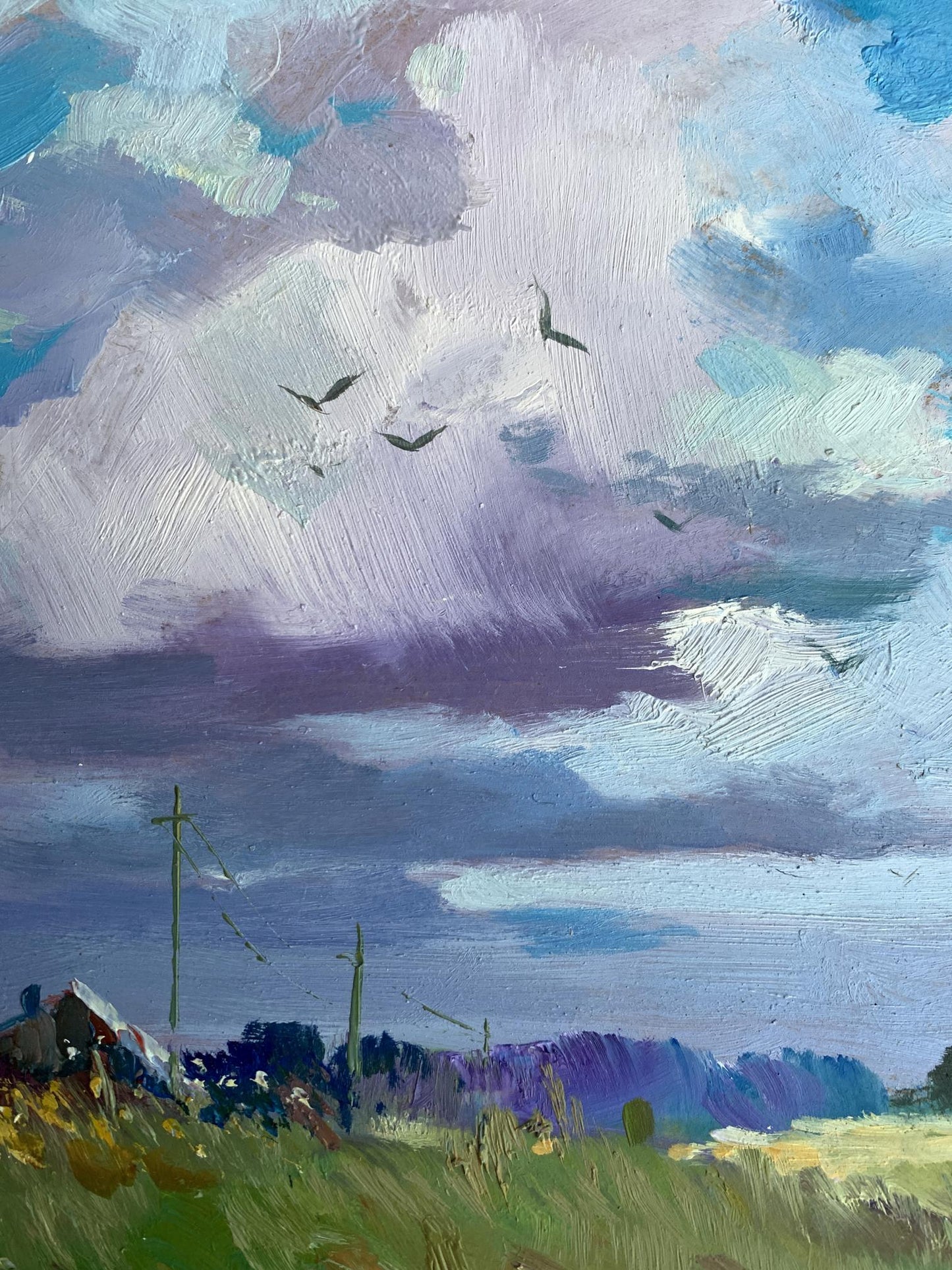OIl painting In the village field Yuriy Suprunchuk