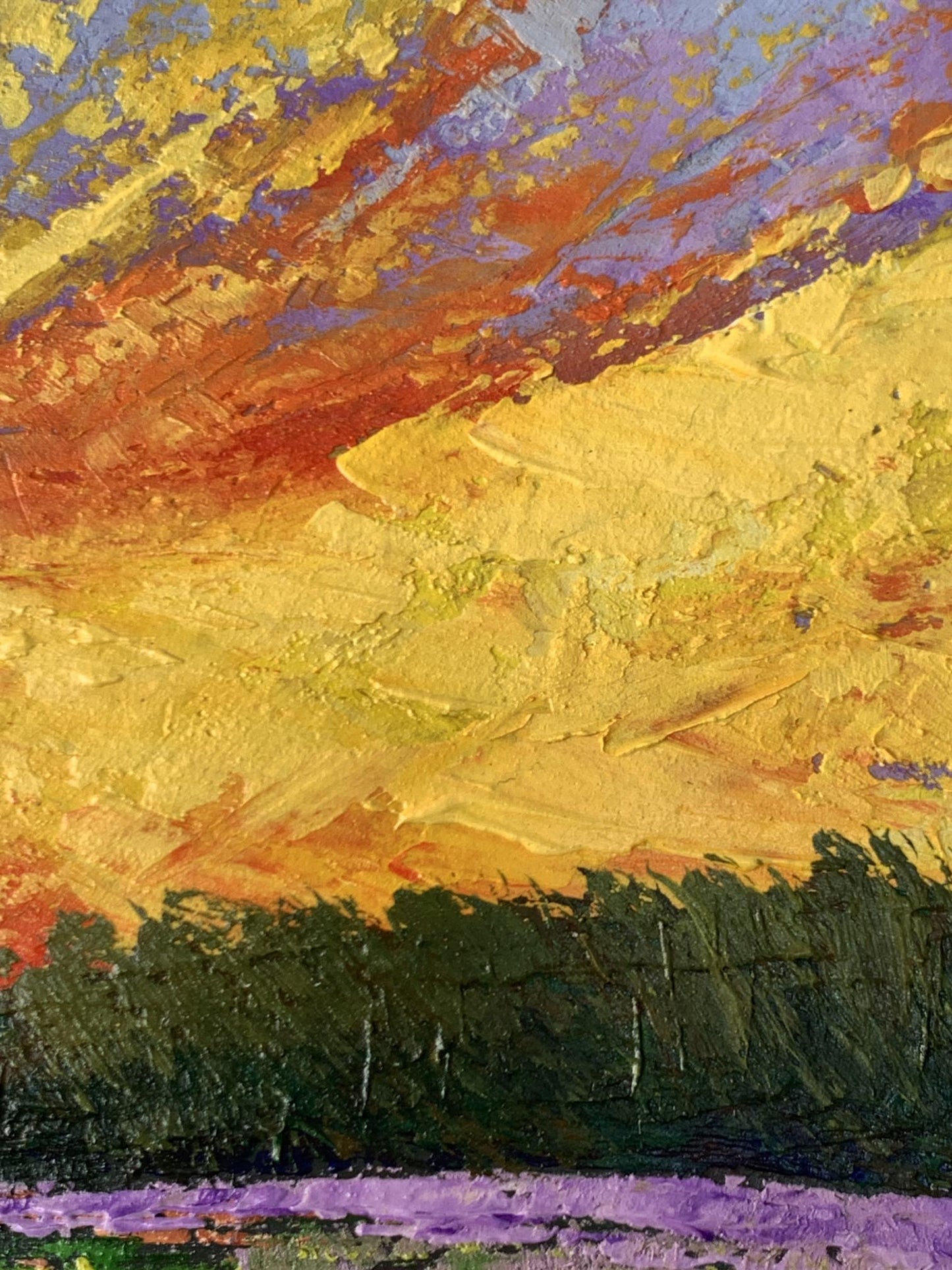 Oil painting Watching the sunset in the field V. Zadorozhnya