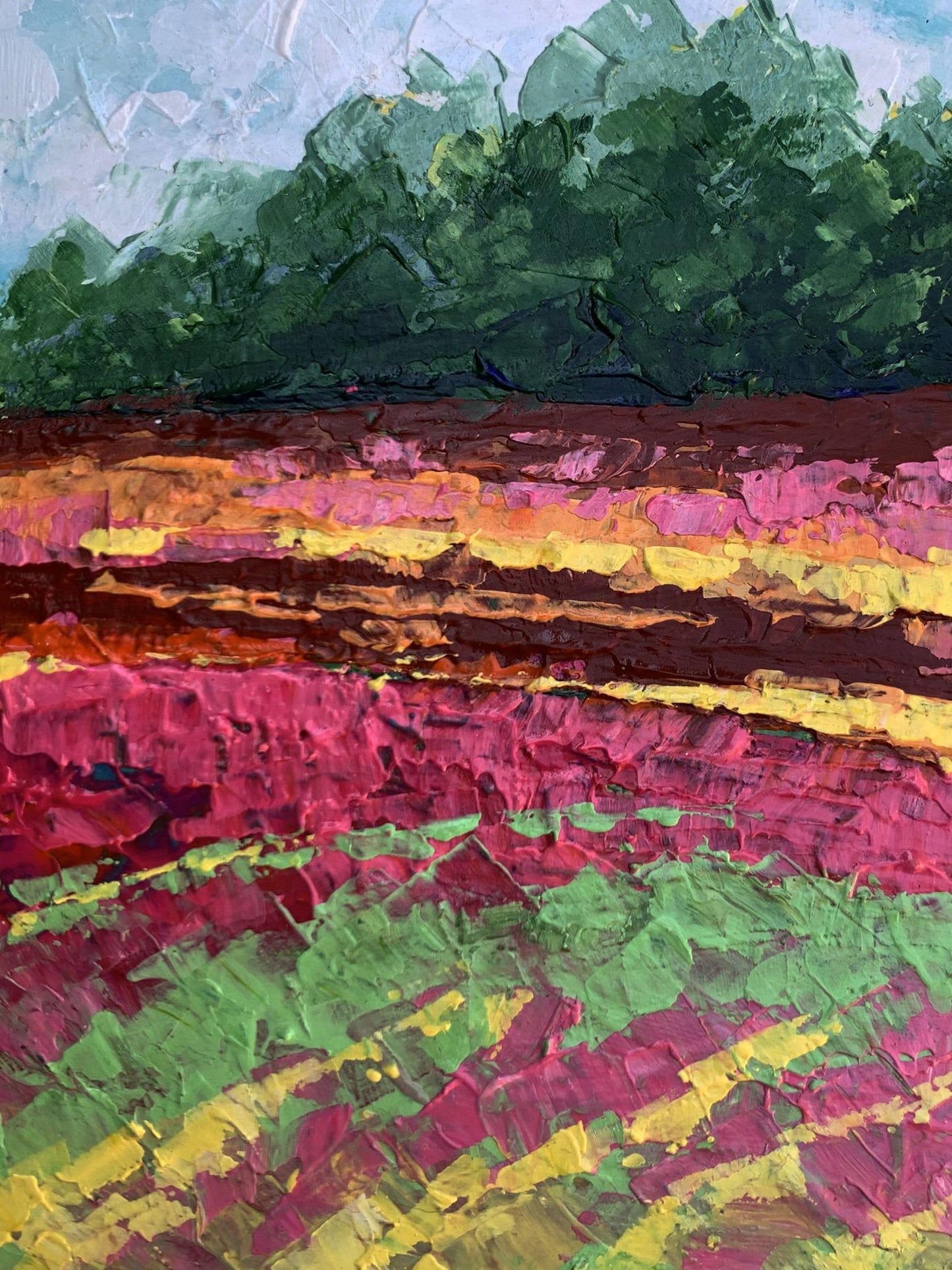 Oil painting Colorful field V. Zadorozhnya