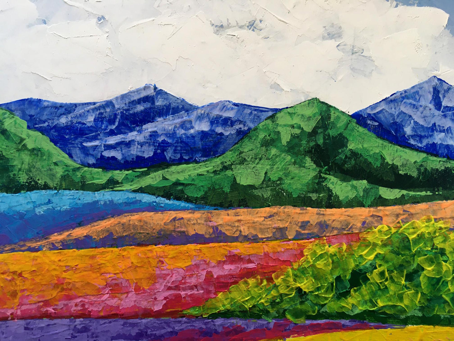 Oil painting Fresh air in the mountains Zadorozhnya V. V.