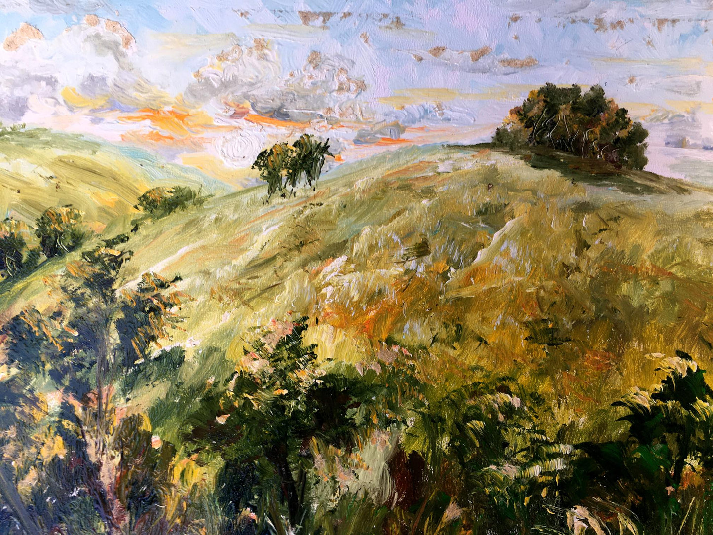 Oil painting Mountain fields Unknown artist