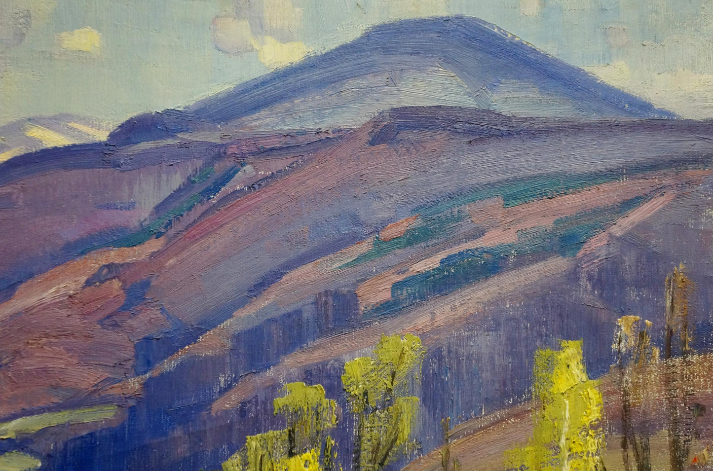 Oil painting Mountain landscape Gabda Vasily Georgievich