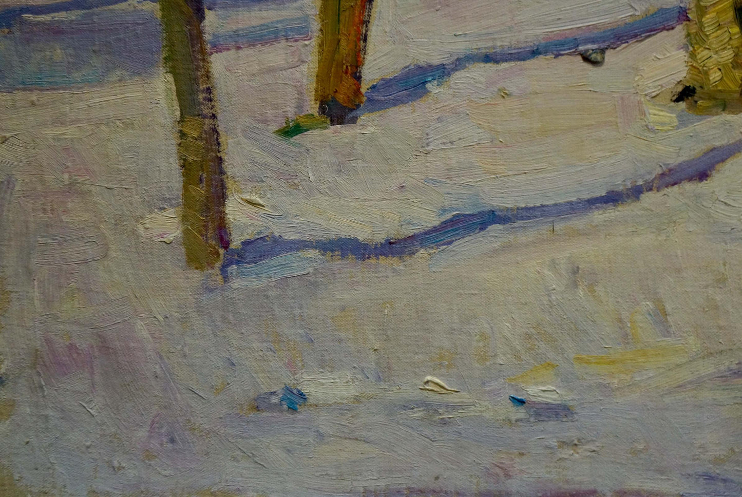 Oil painting Winter park Nagulyak Petr Ivanovich