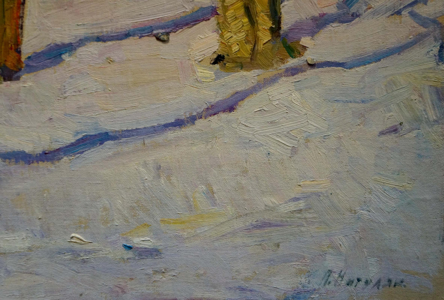 Oil painting Winter park Nagulyak Petr Ivanovich