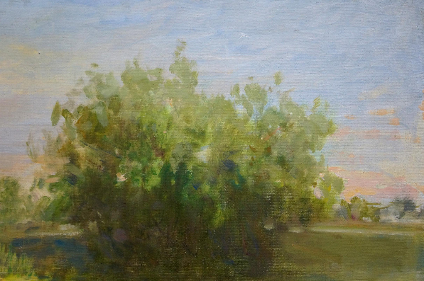 Oil painting Fog has fallen Bezugly Daniil Ivanovich